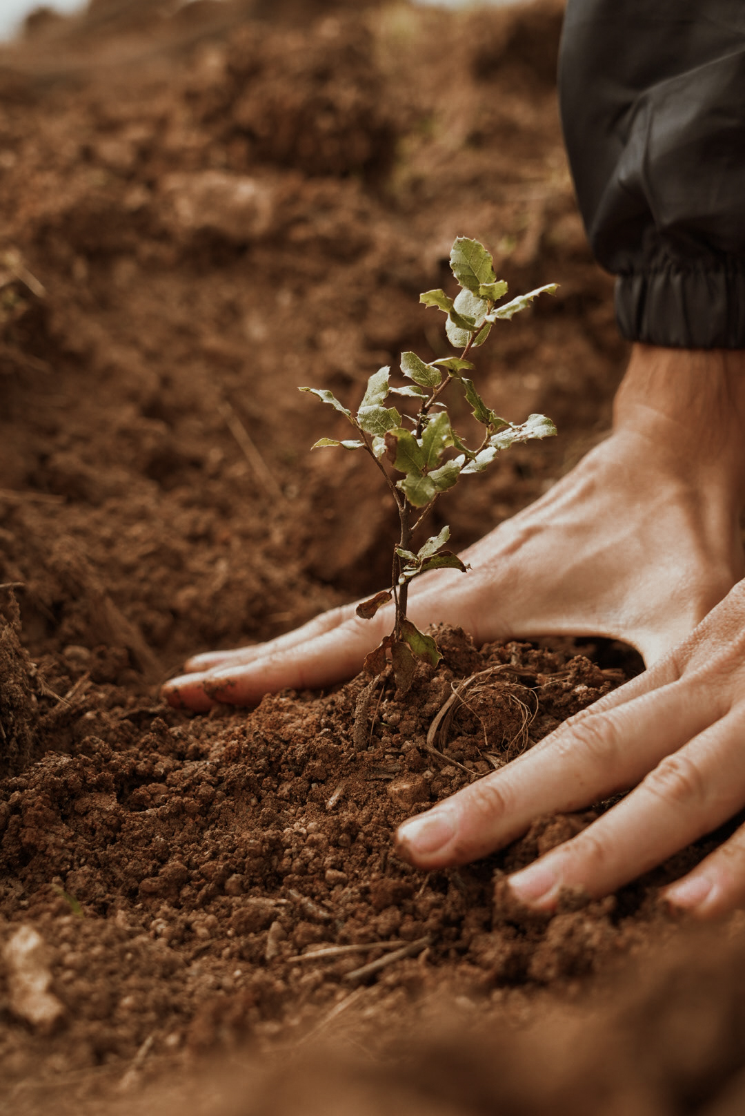Amorim Sustainable Action