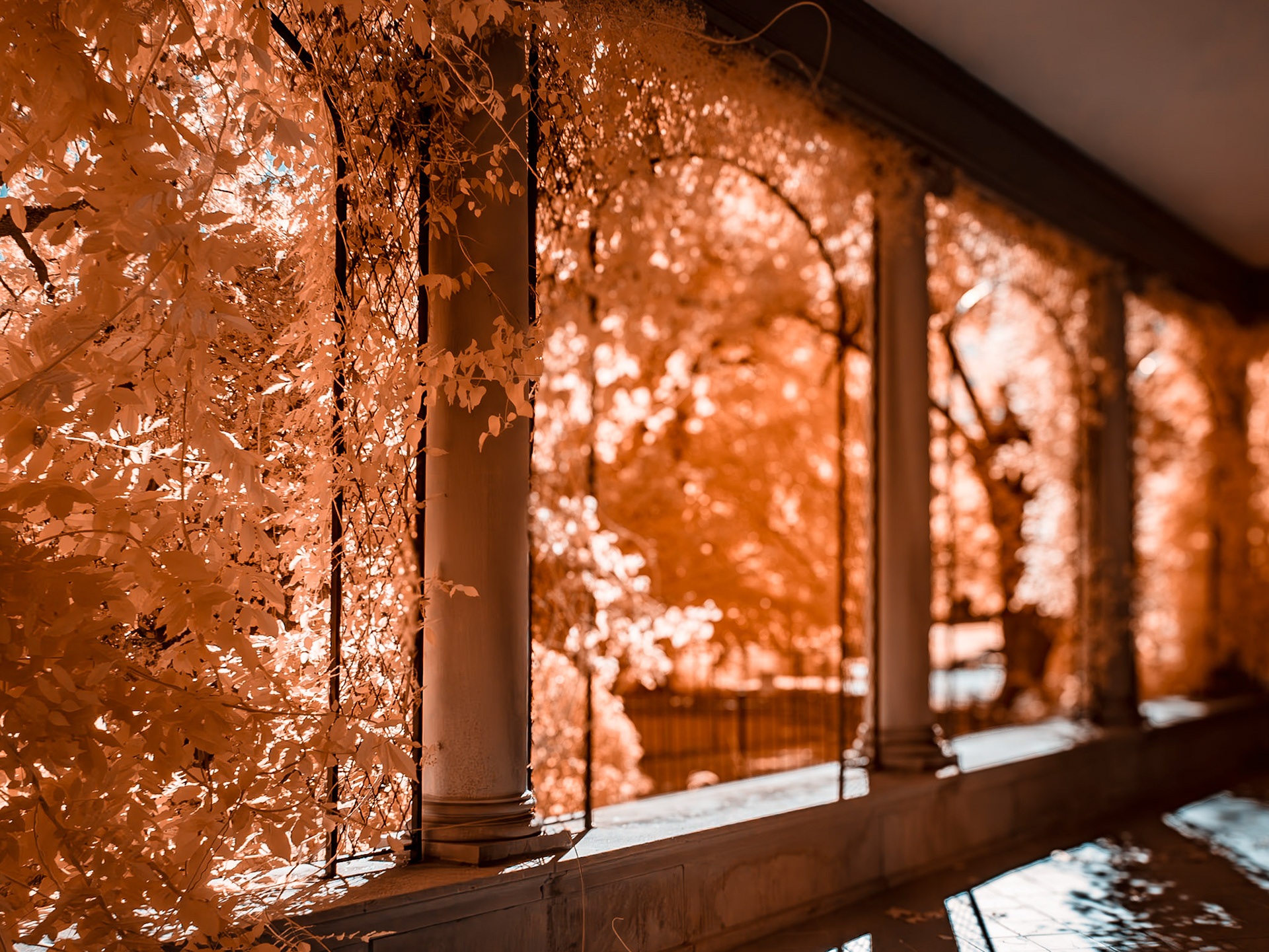 George Eastman House, Rochester NY