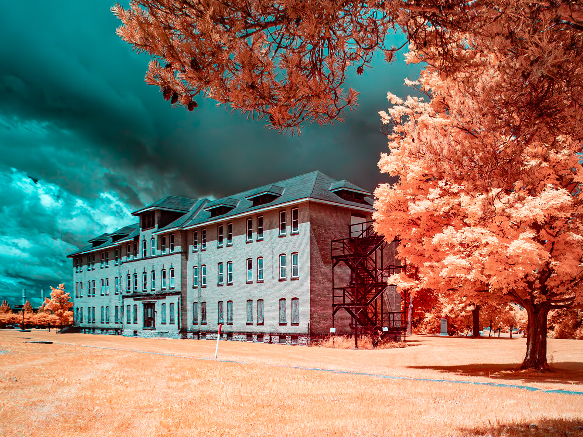 Richardson Campus, Buffalo NY
