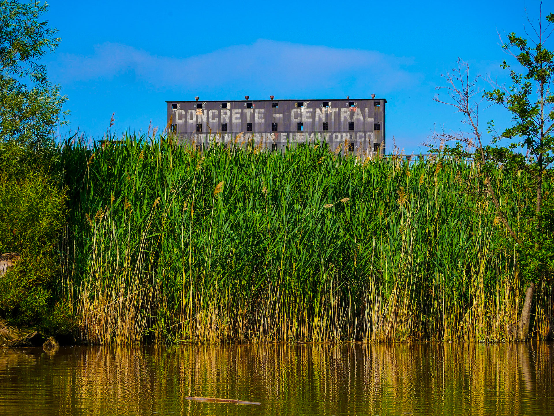 Buffalo, NY