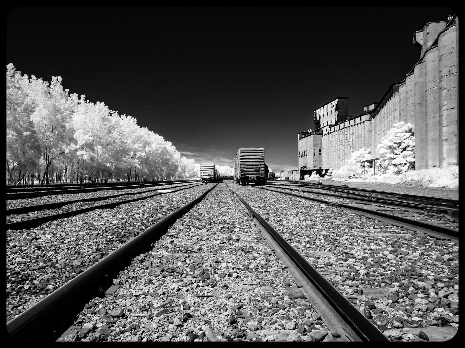 CSX Railyard, Buffalo NY