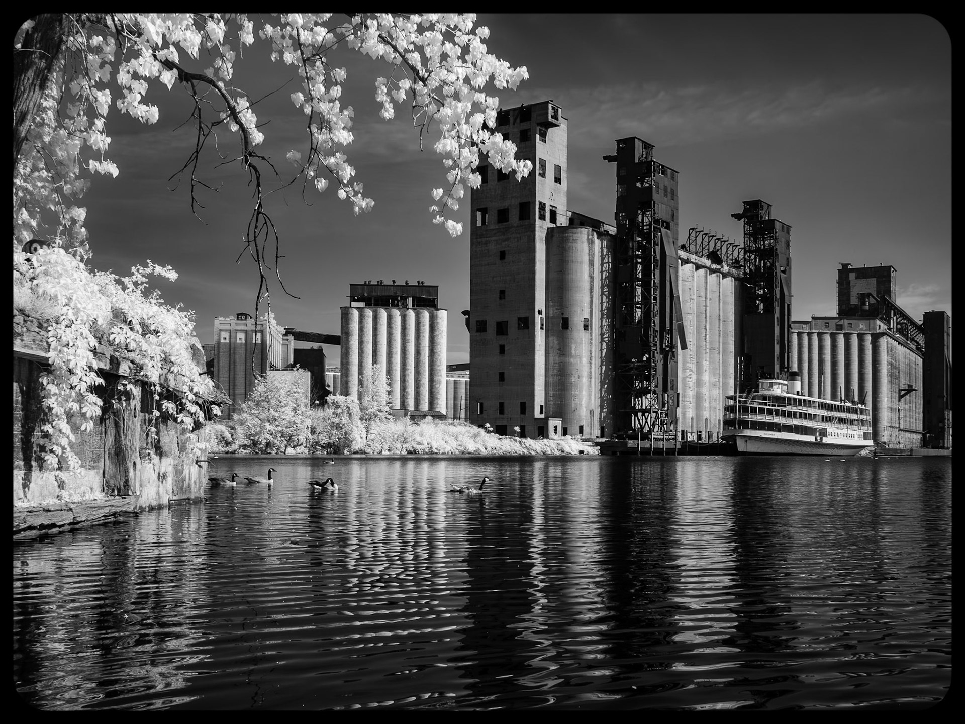 View of Silo City, Buffalo NY