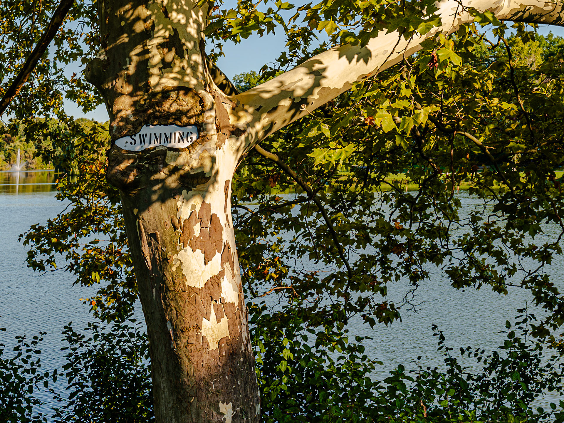 No Swimming? Buffalo, NY (2025)