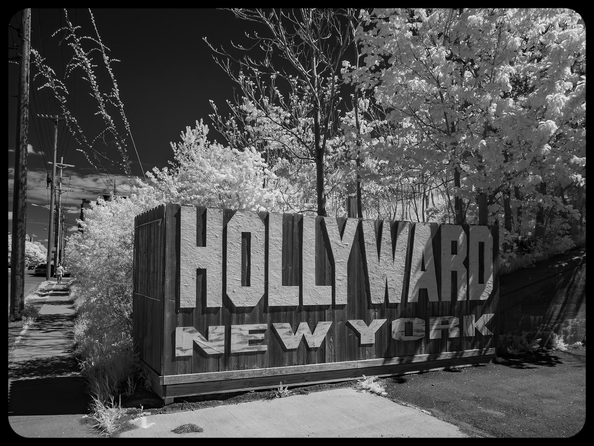 Hollyward, Buffalo, NY (2022)