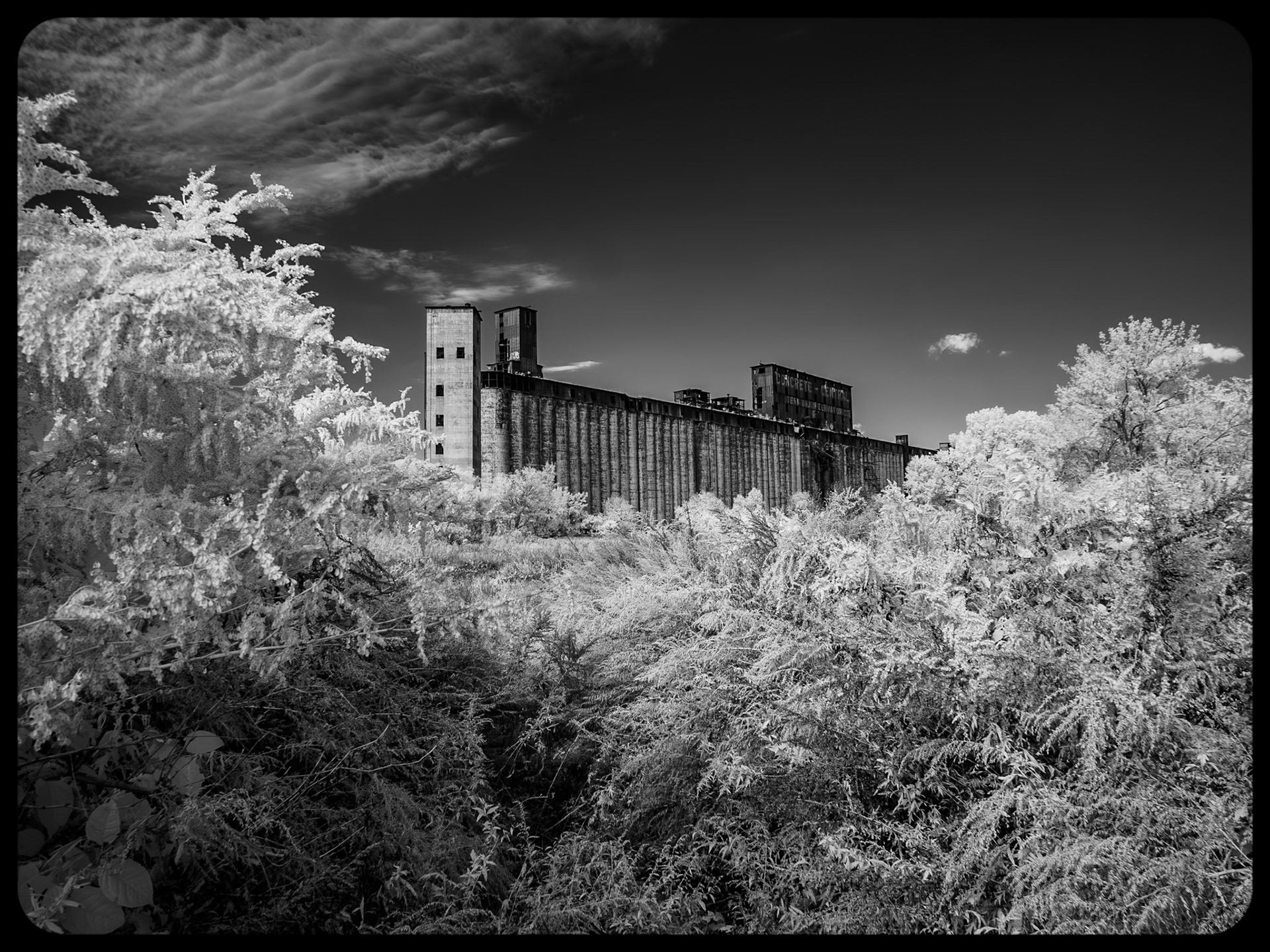Concrete Central, Buffalo NY