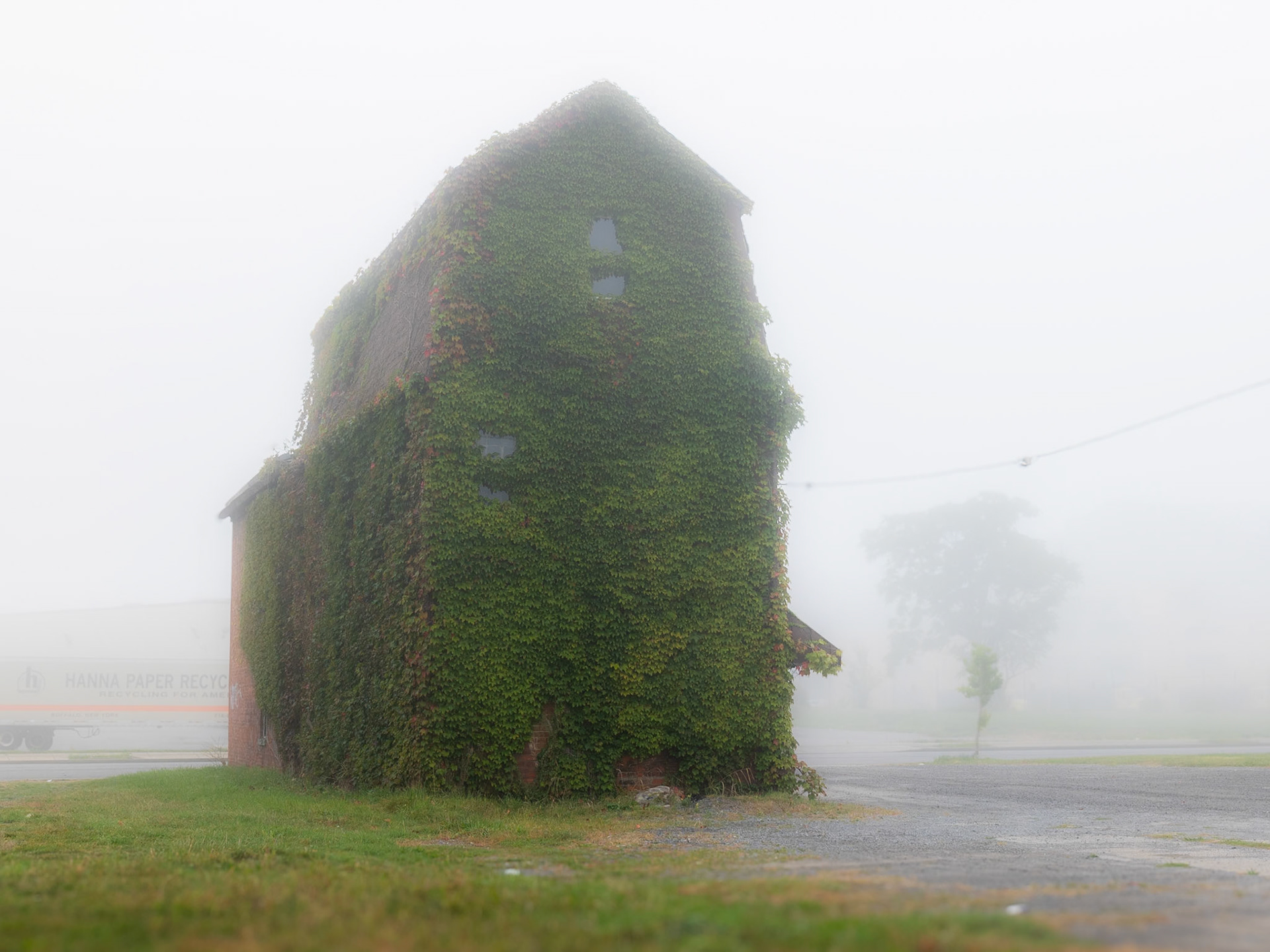 Through the Mist on Michigan Avenue, Buffalo, NY (2024)