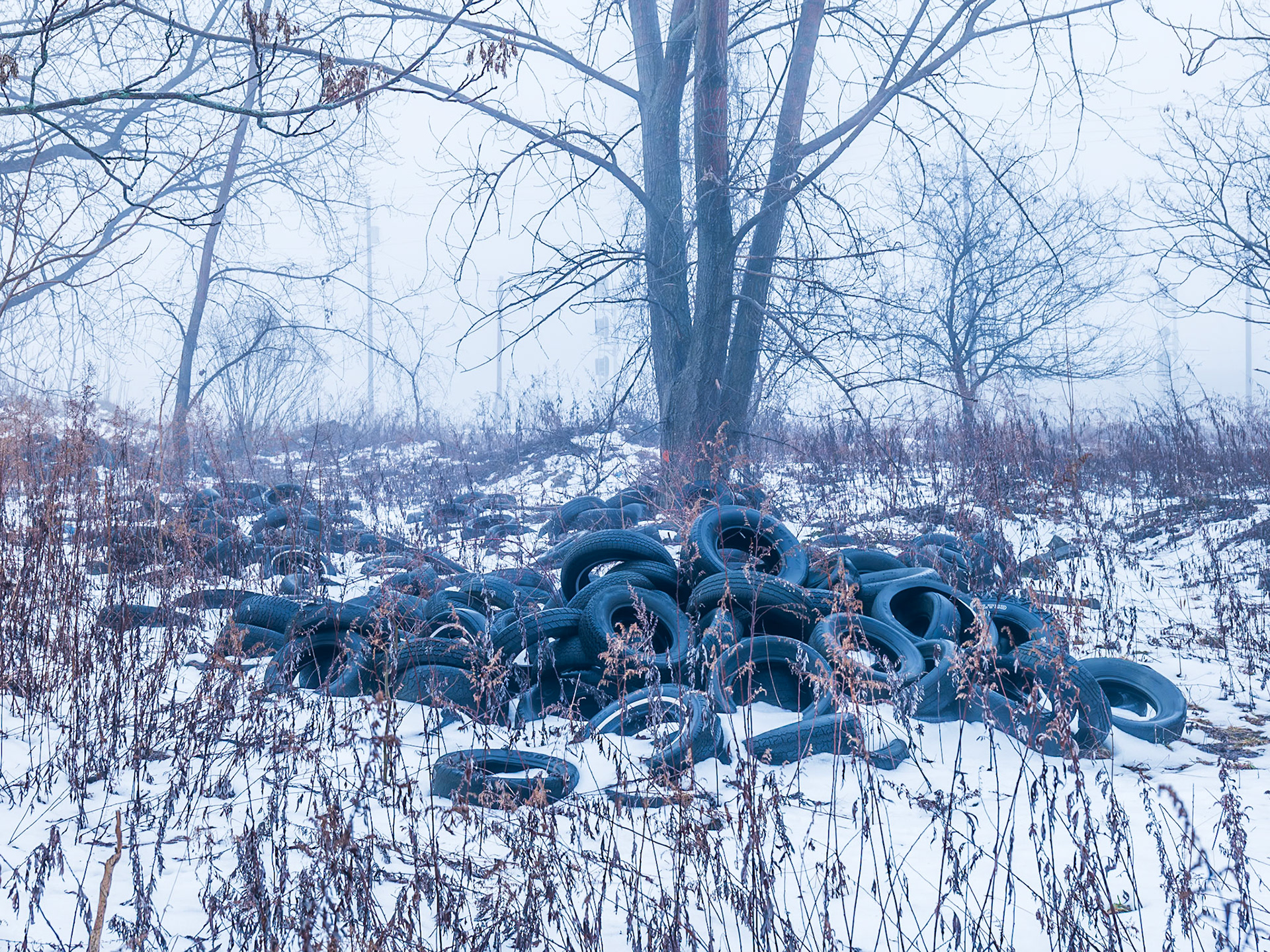 Near Memorial Drive, Buffalo NY