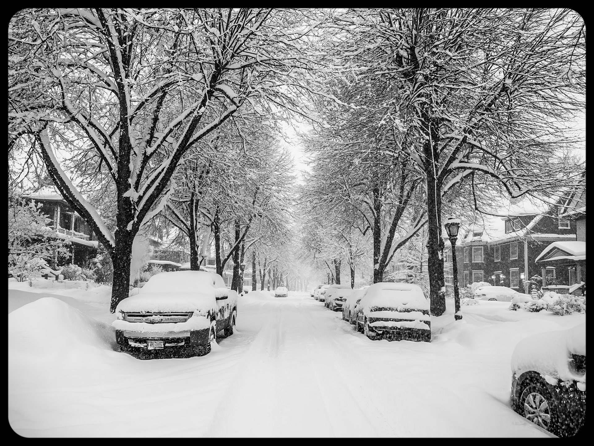 Woodward Avenue, Buffalo NY