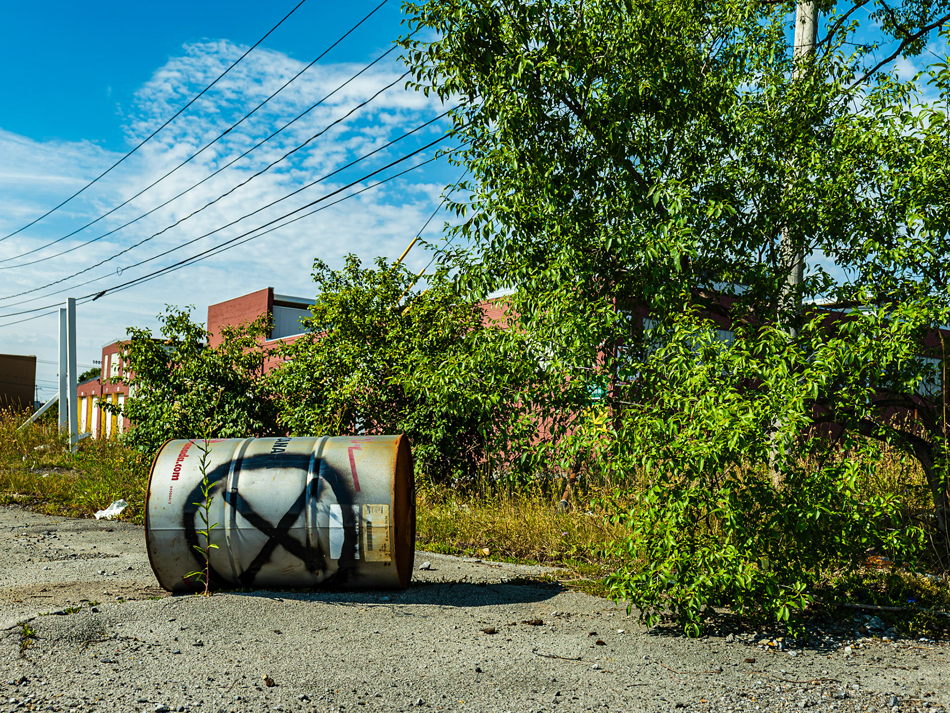 X Marks the Spot, Buffalo, NY (2025)