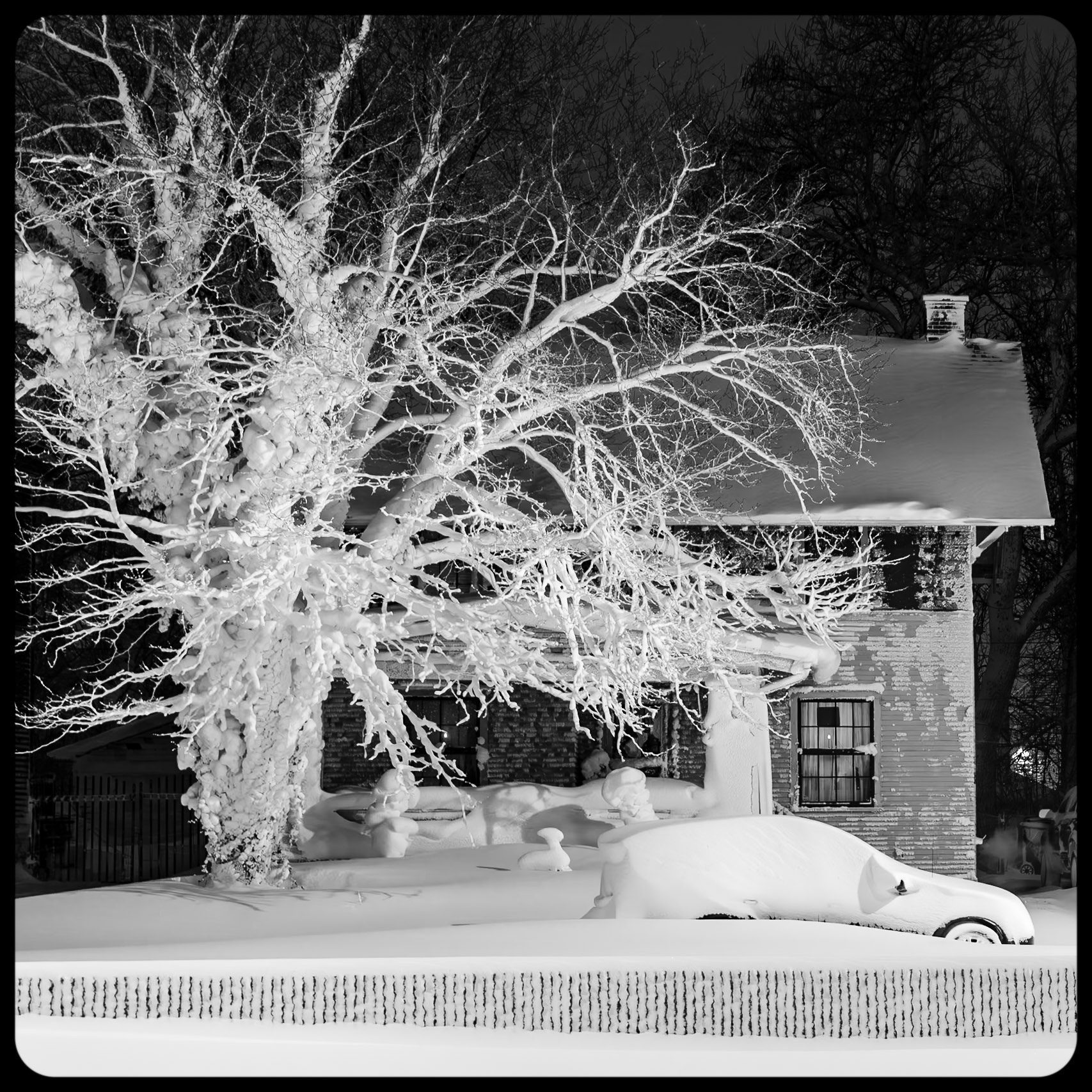 Christmas Eve Blizzard of 2022, Buffalo NY