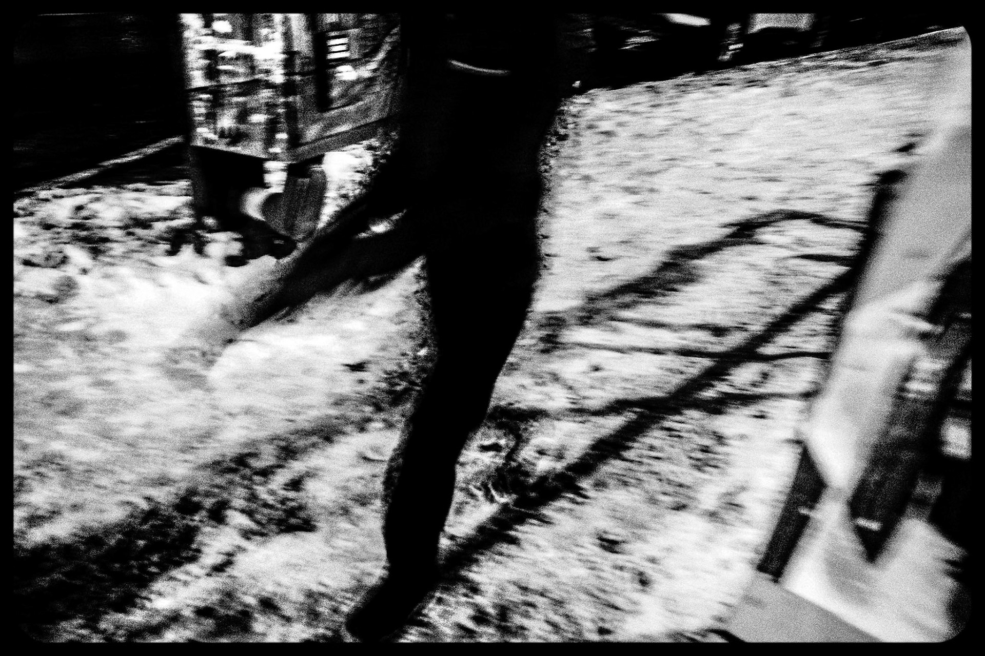 City Sasquatch, Buffalo, NY (2025)