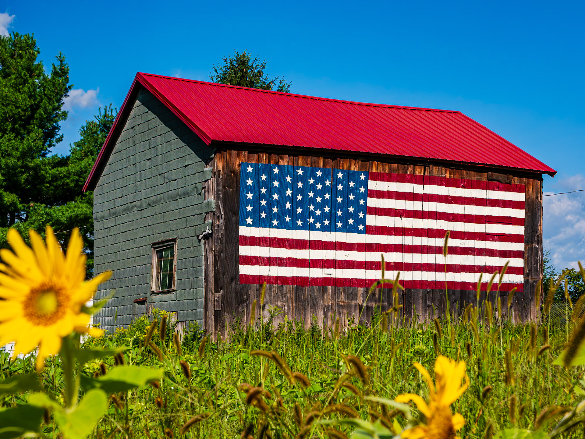 Sunflowers with Flag, Springville, NY (2020)
