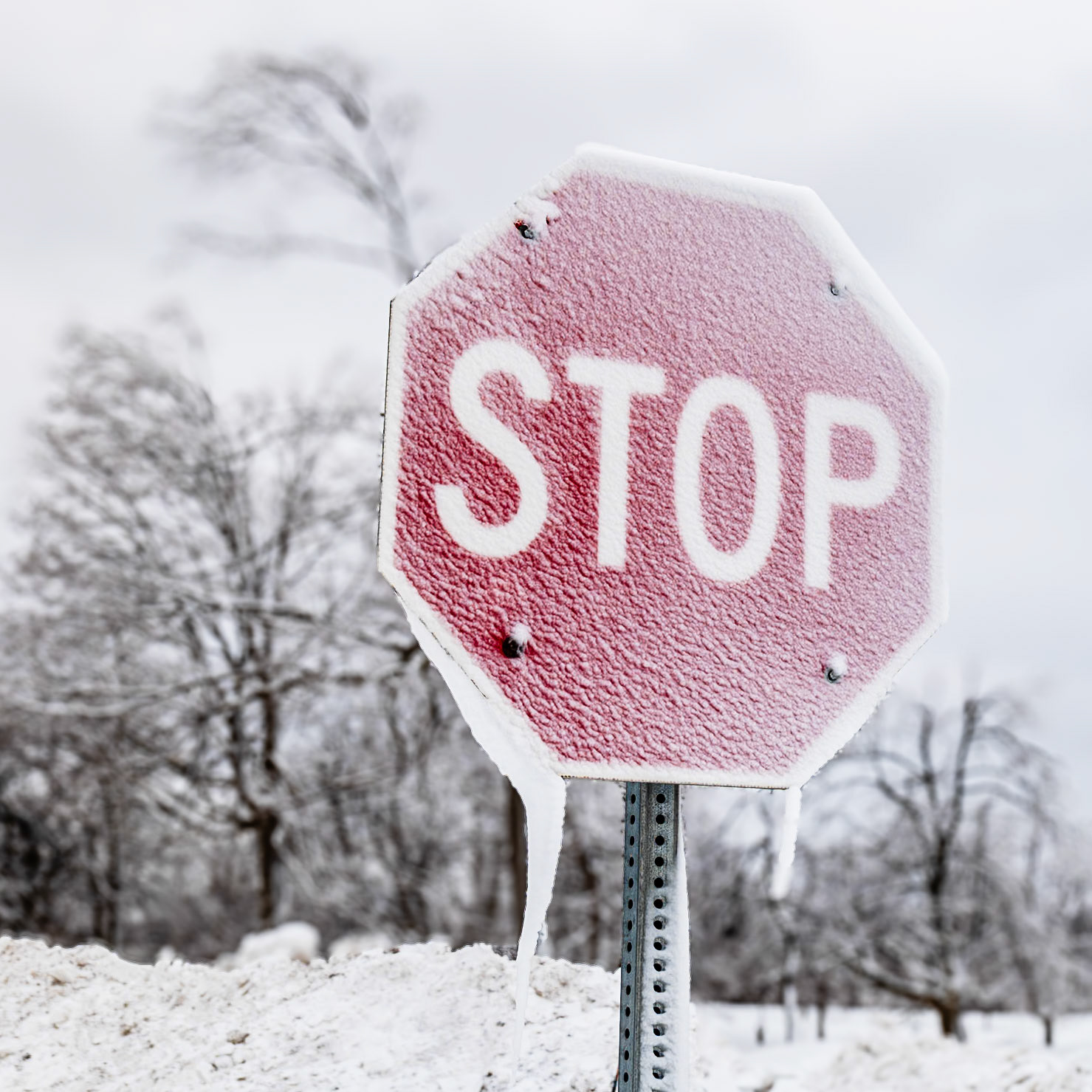 Niagara Falls State Park, Niagara Falls NY