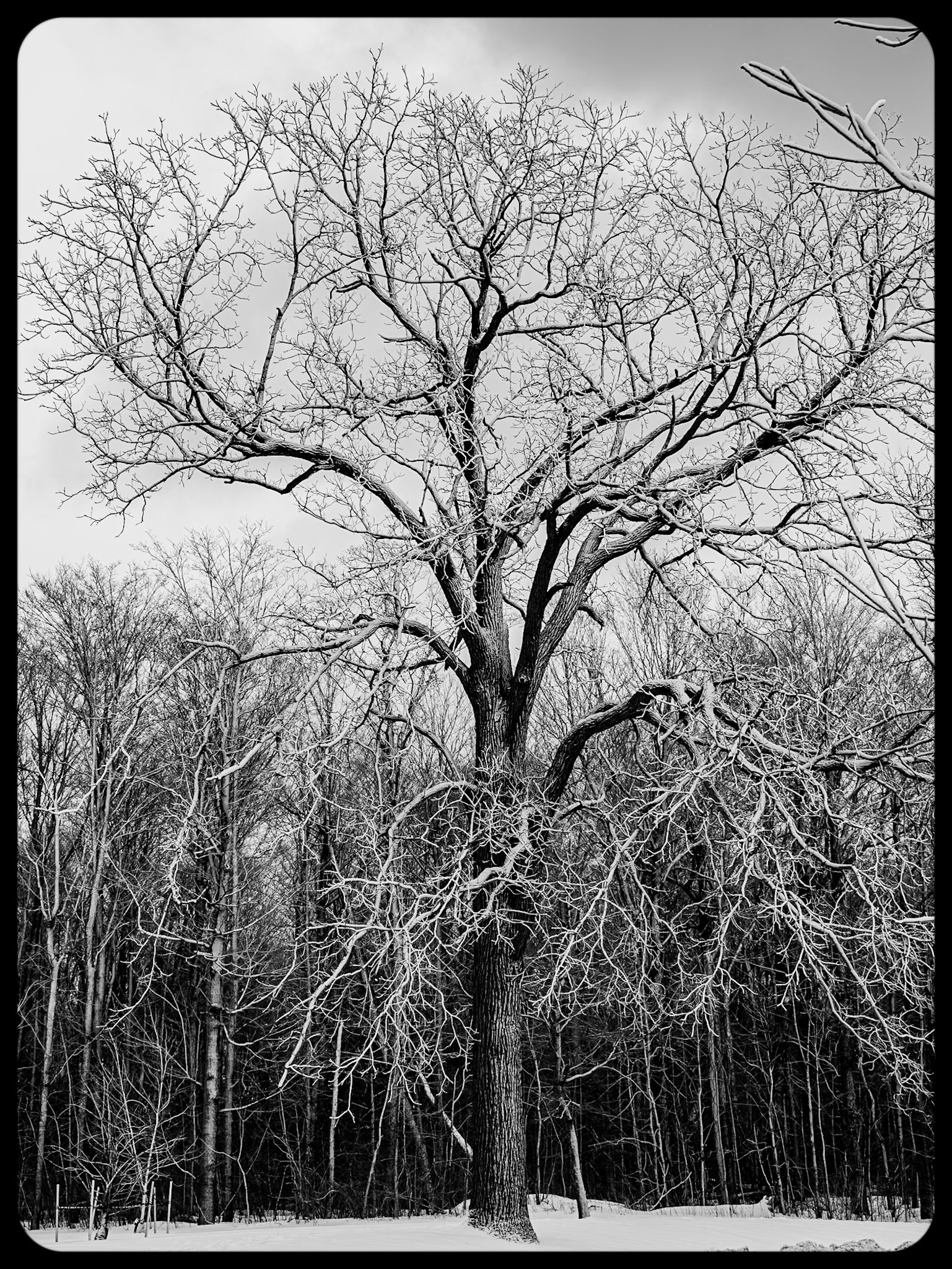 Niagara Falls State Park, Niagara Falls NY