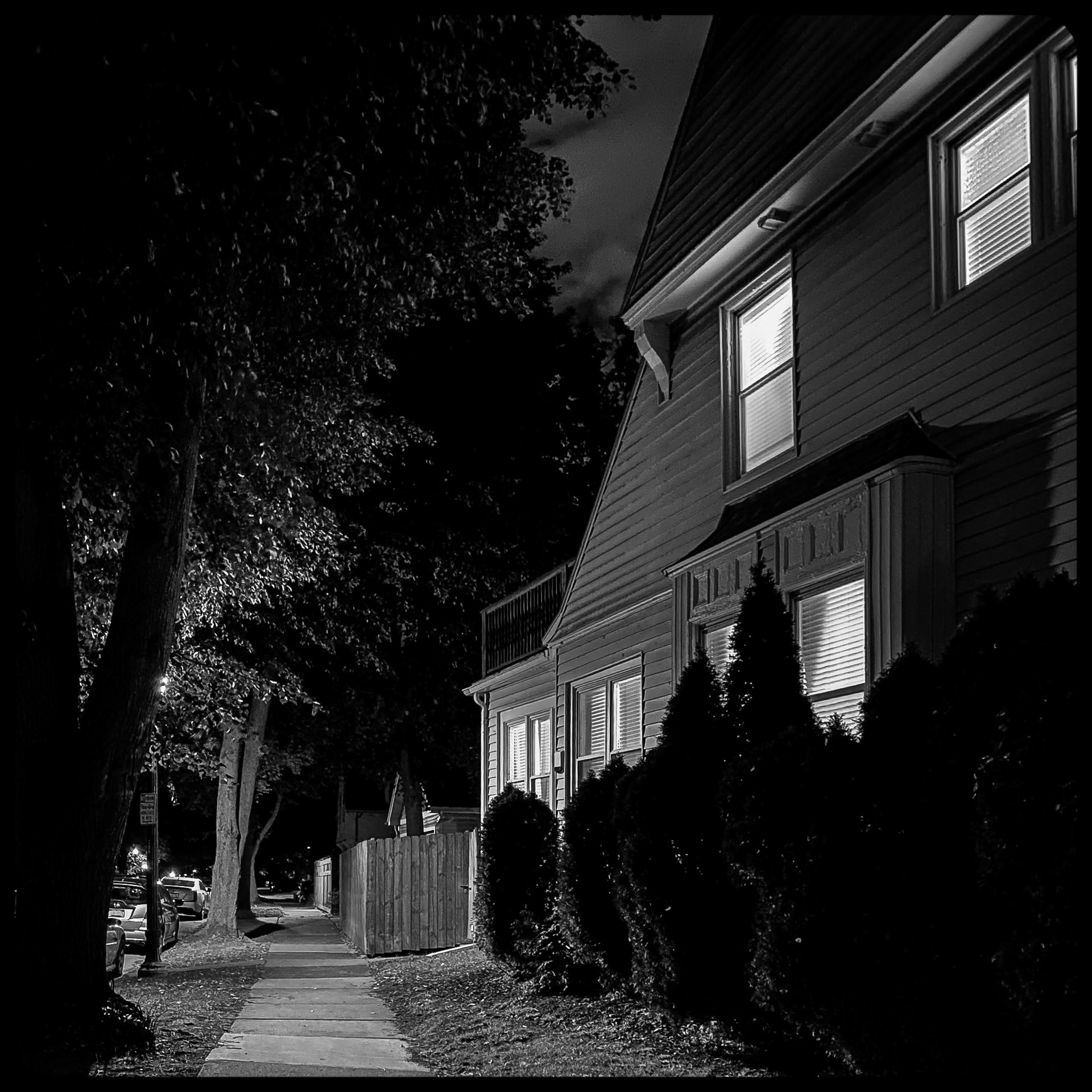 Night Walk, Buffalo NY (2021)