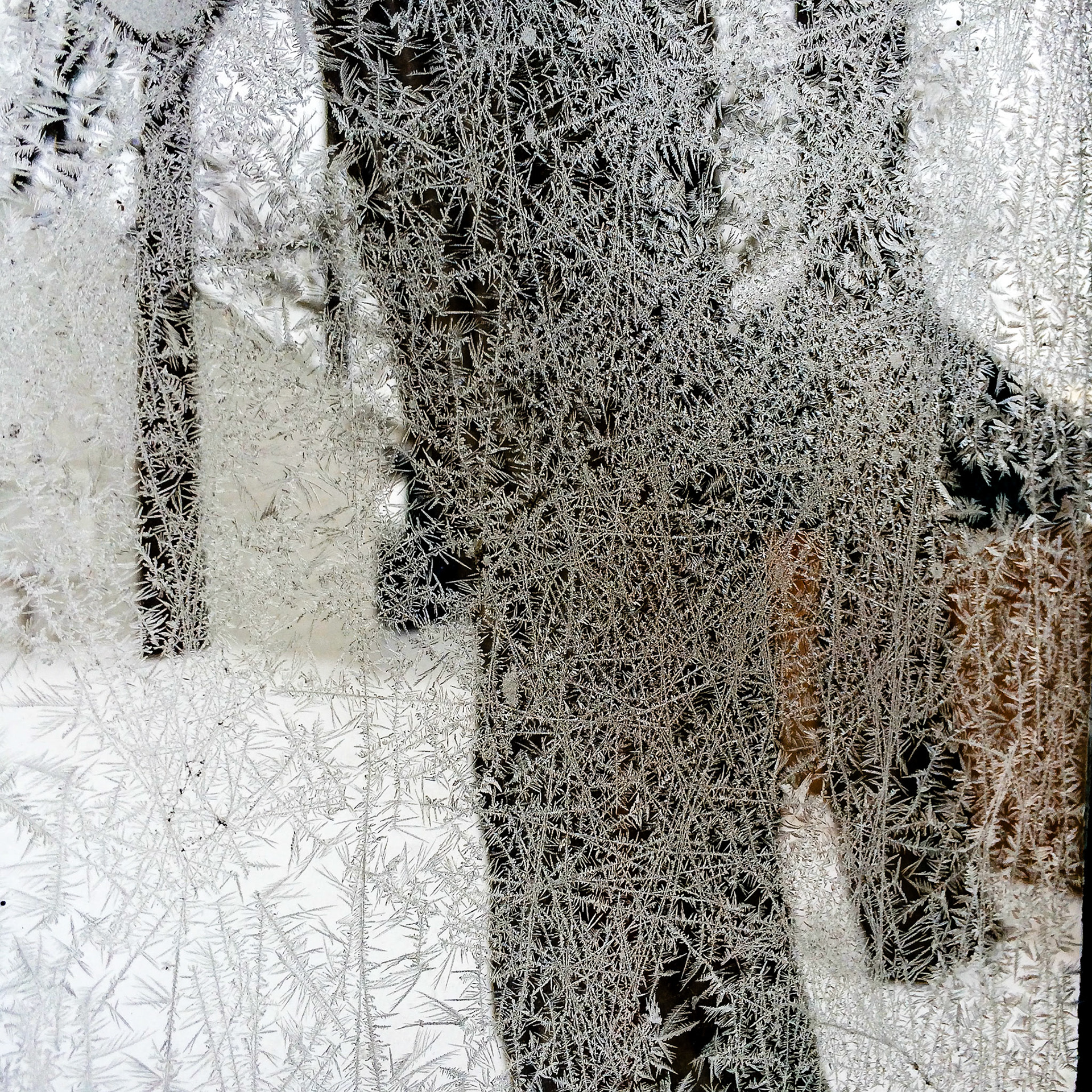 Frosted window pane, Buffalo NY