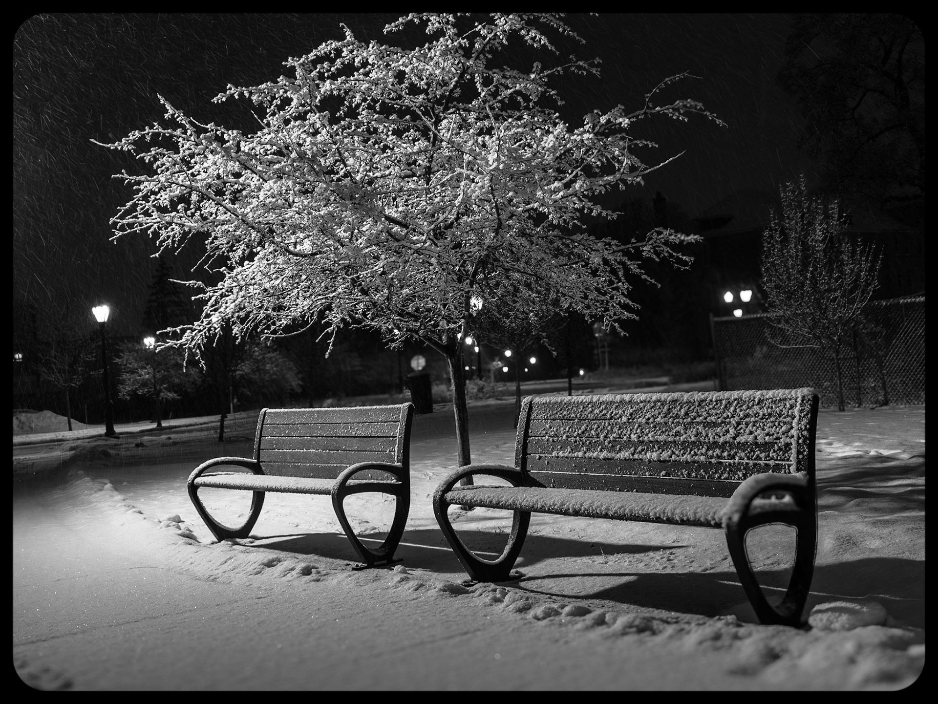 Richardson Campus, Buffalo NY