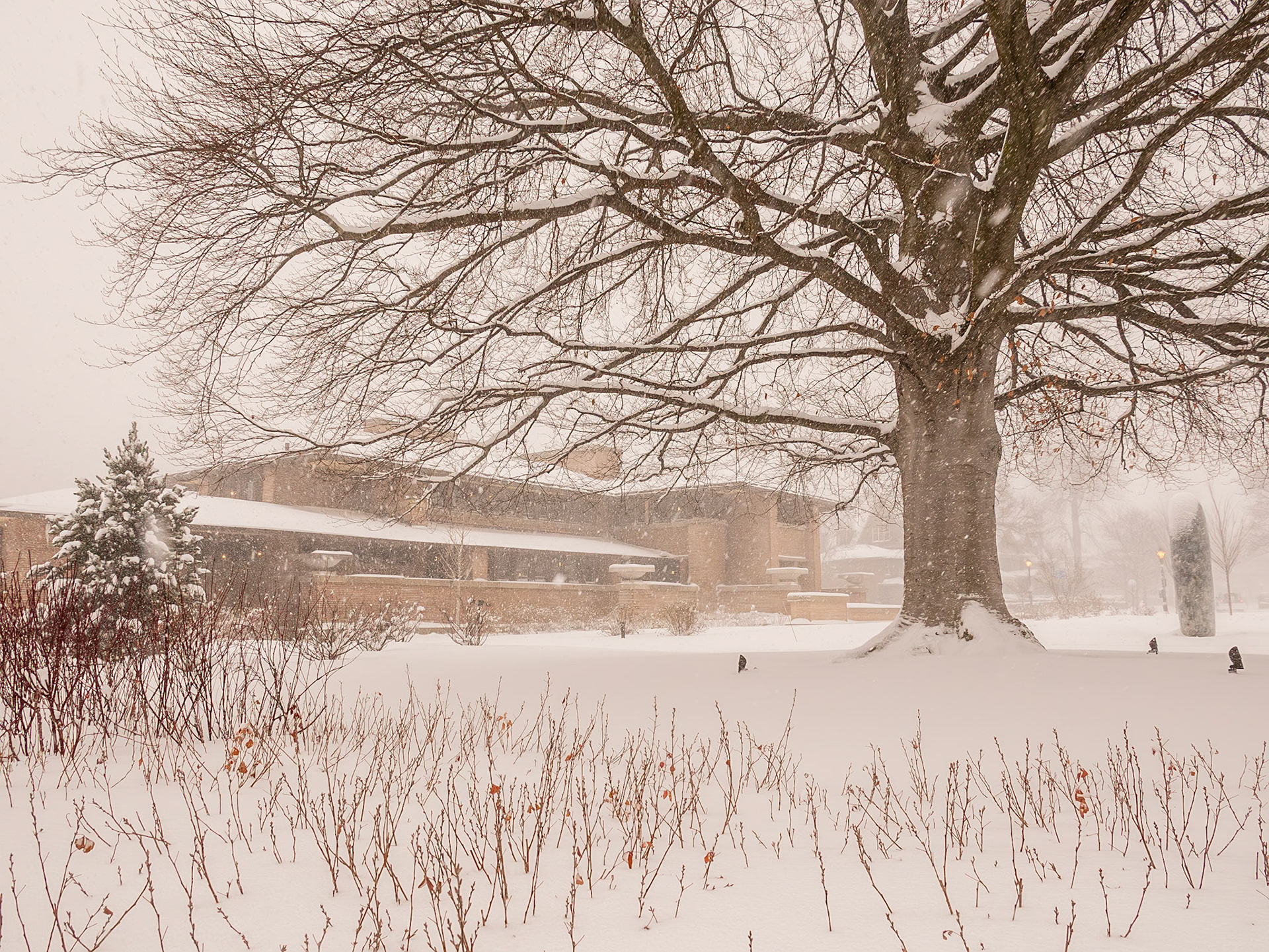 Darwin Martin House, Buffalo NY