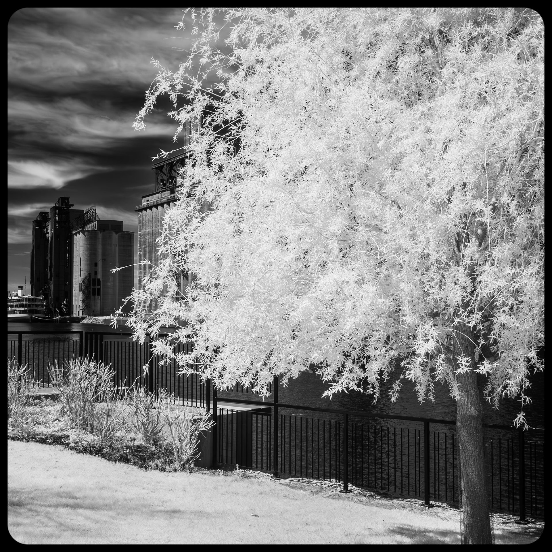 Buffalo River from Mutual Riverfront Park, Buffalo NY