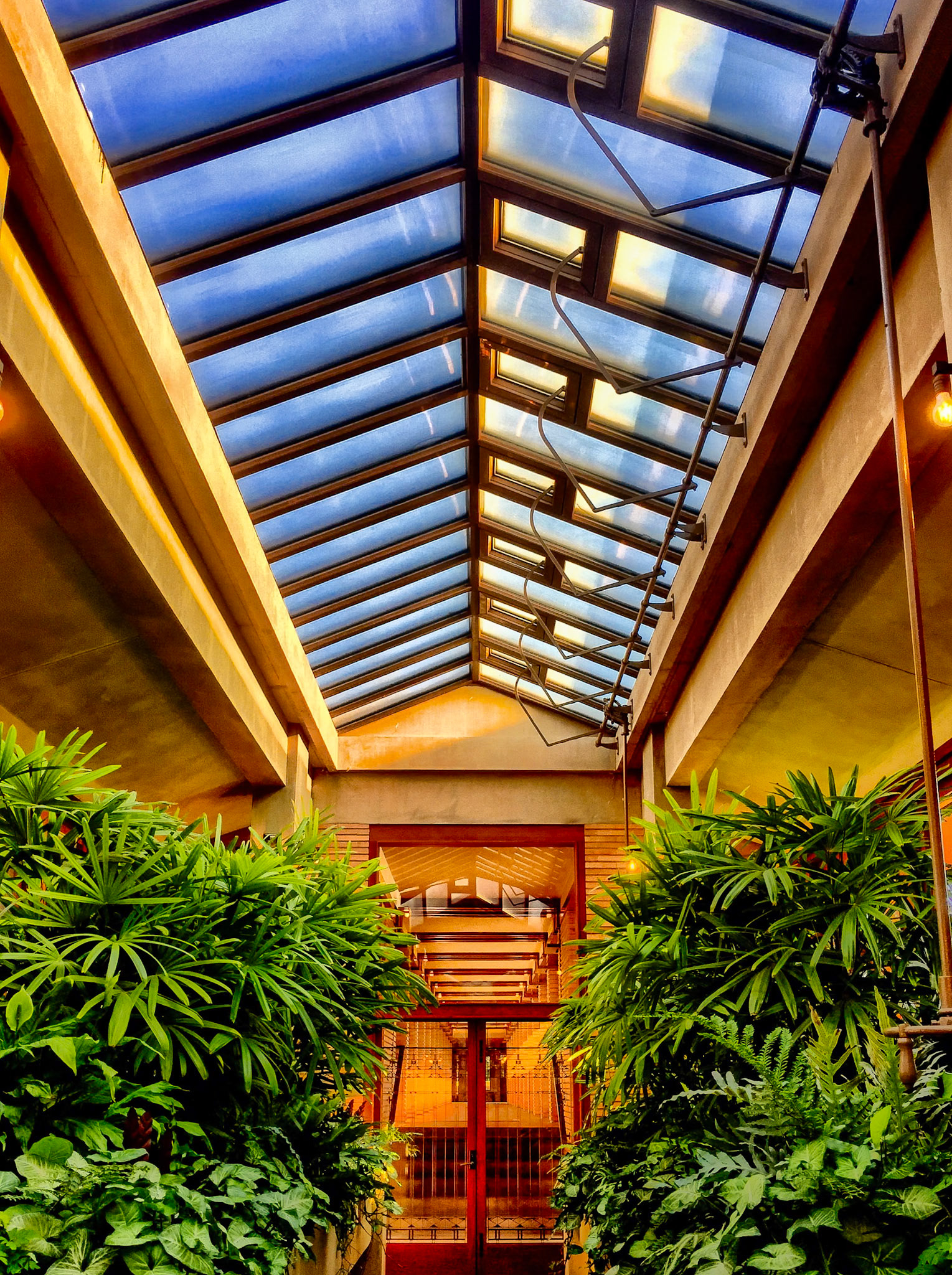 Darwin Martin House, Buffalo, NY