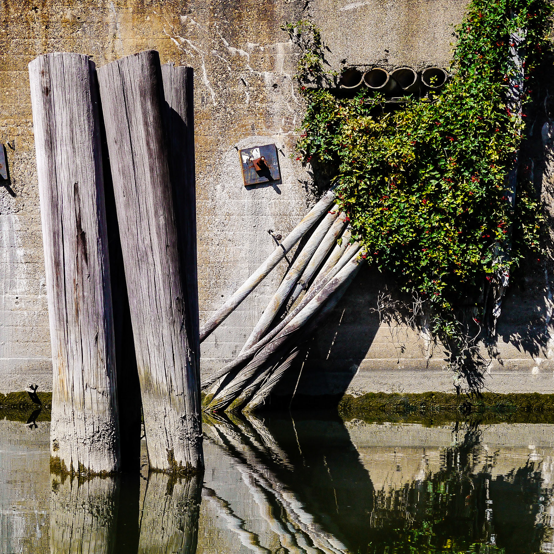 Man vs. Nature, Buffalo River, Buffalo NY