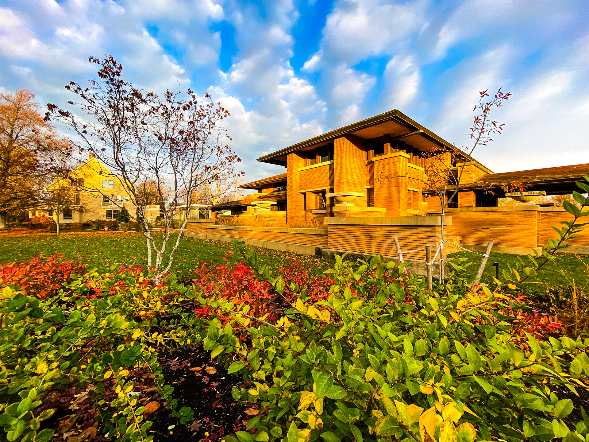 Darwin Martin House, Buffalo, NY