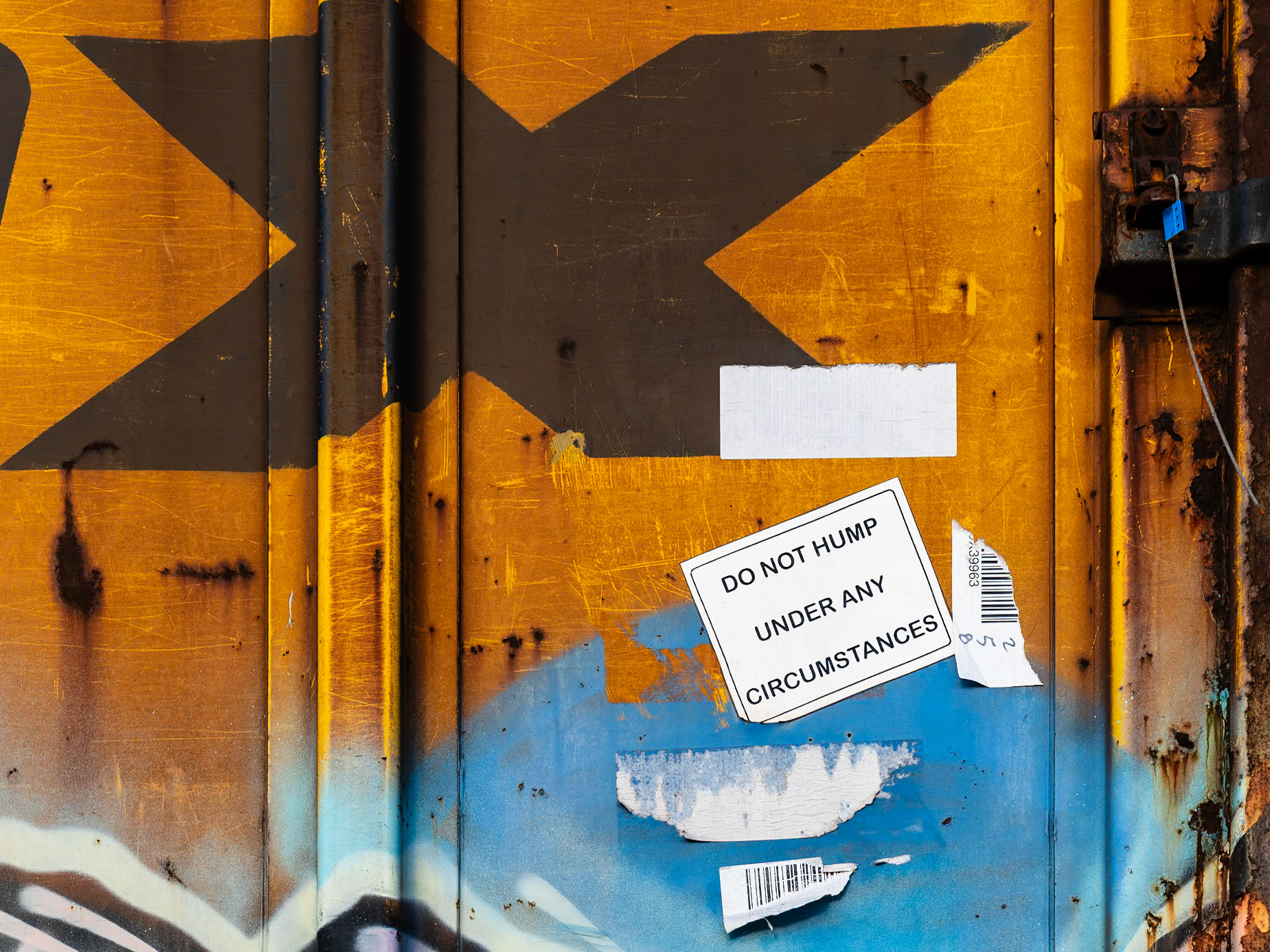 Do Not Hump, Buffalo, NY (2024)