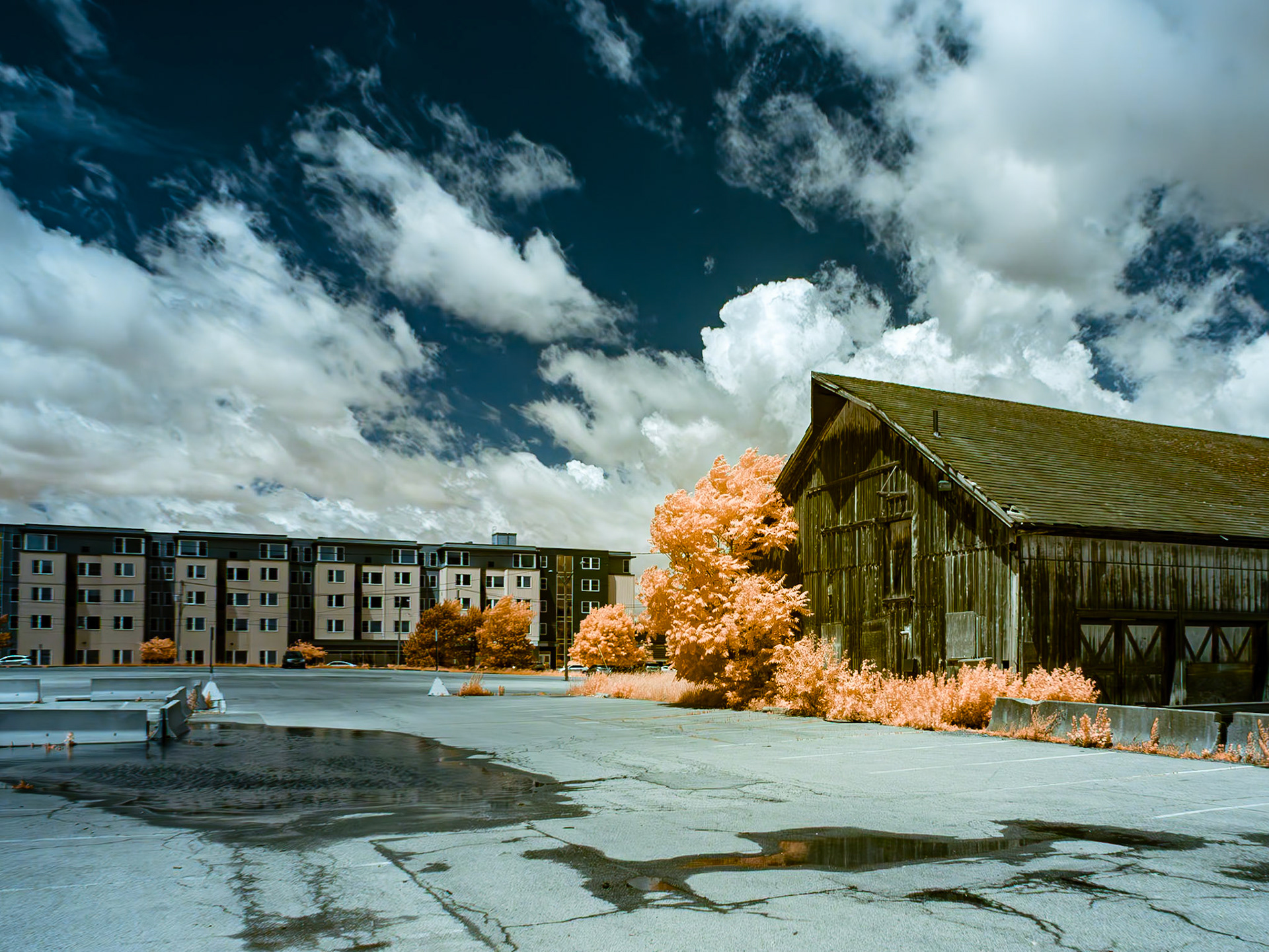 Richardson Campus, Buffalo NY