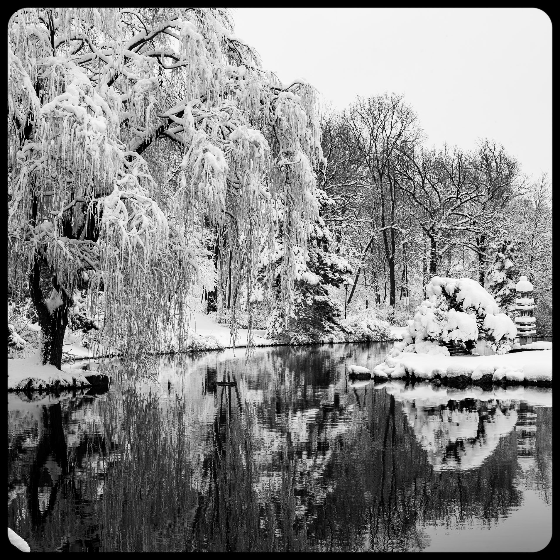 Hoyt Lake, Buffalo NY