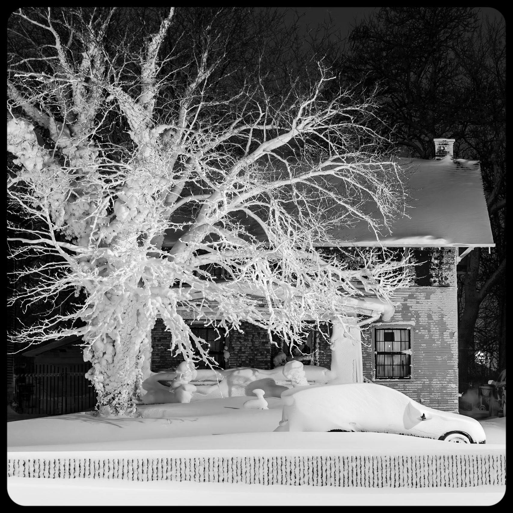 Christmas Eve Blizzard of 2022, Buffalo NY