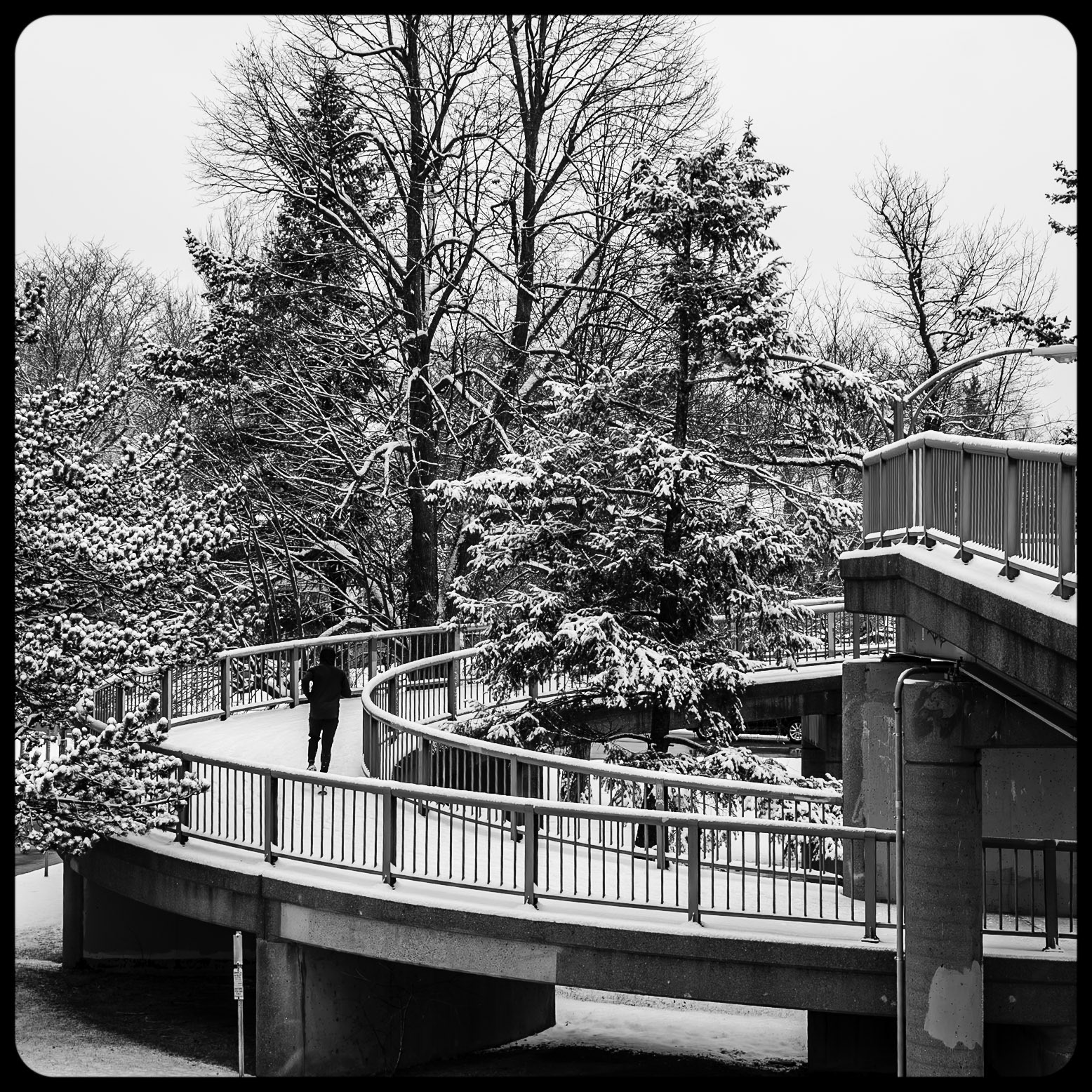 Scajacuada Expressway Pedestrian Bridge, Buffalo NY