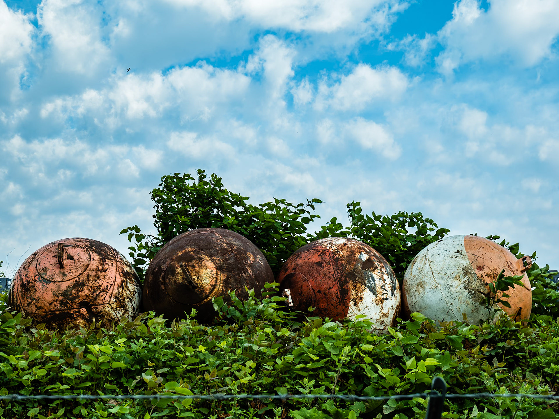On Katherine Street, Buffalo, NY (2021)