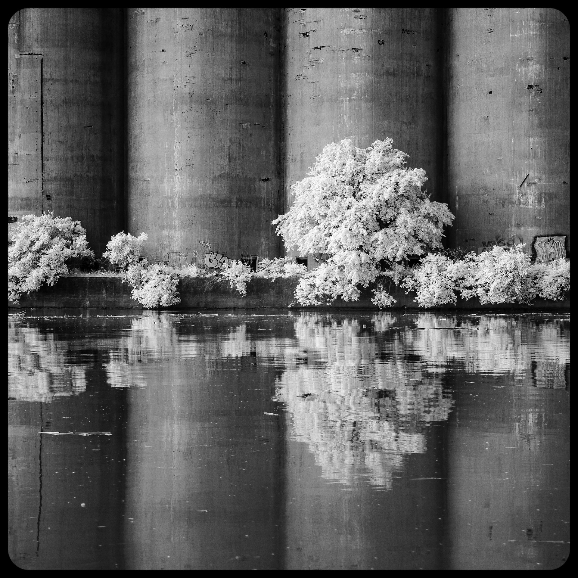 Cargill's Grain Elevator, Buffalo NY