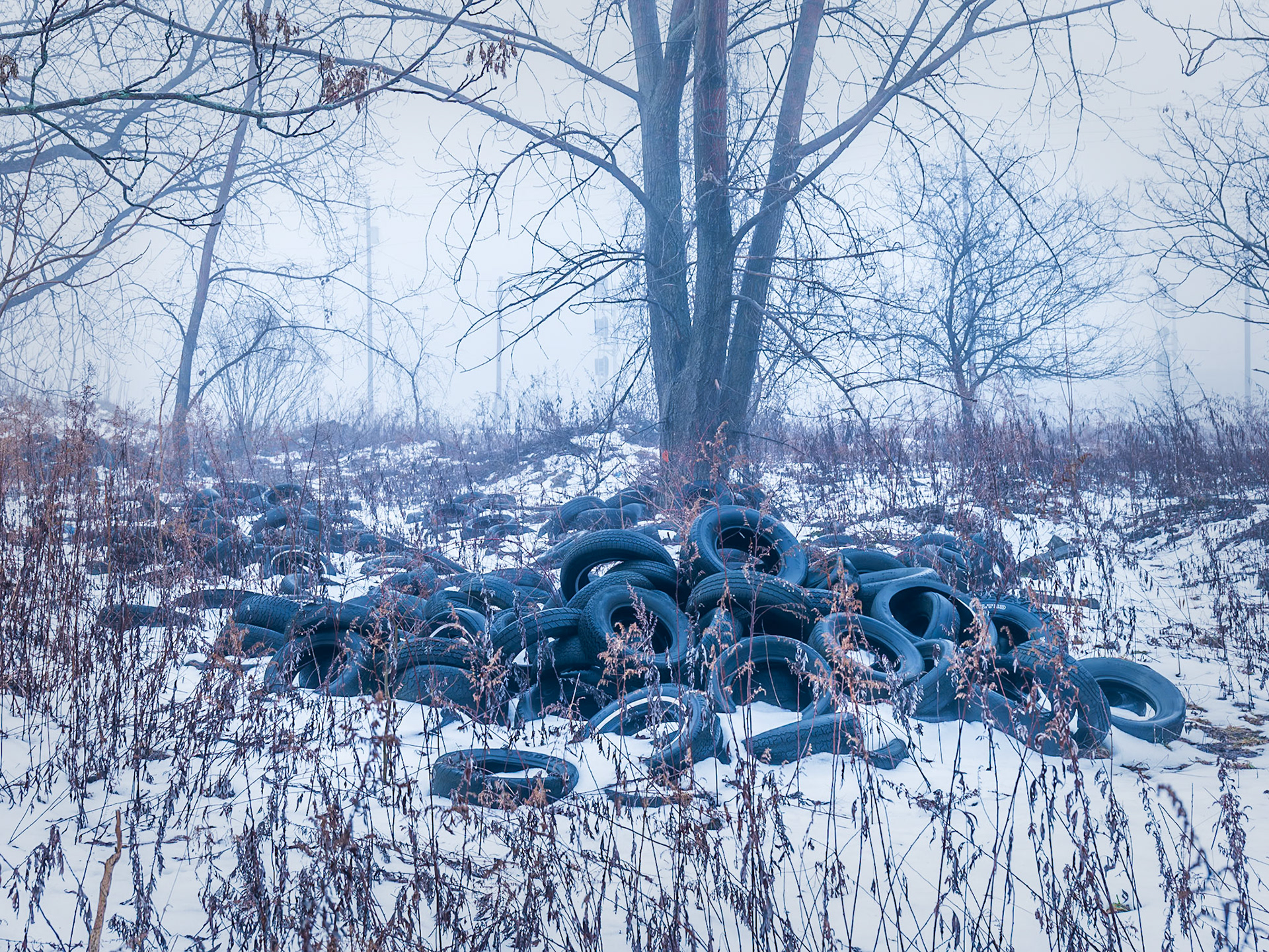 Memorial Drive, Buffalo NY (2024)