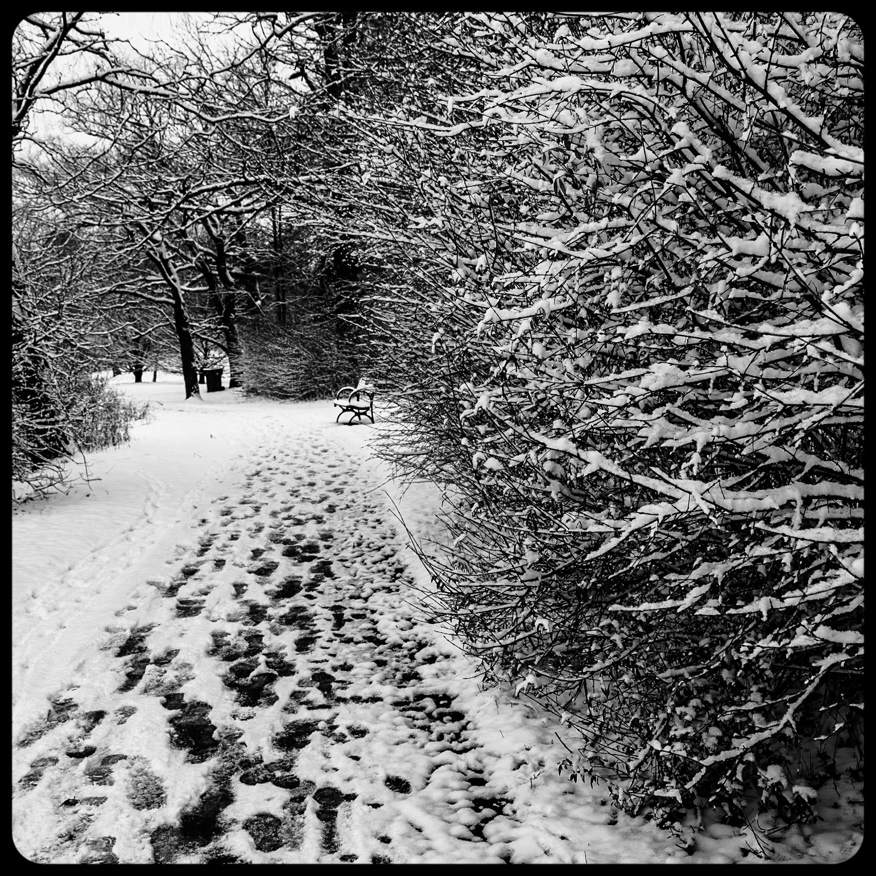 Delaware Park, Buffalo NY