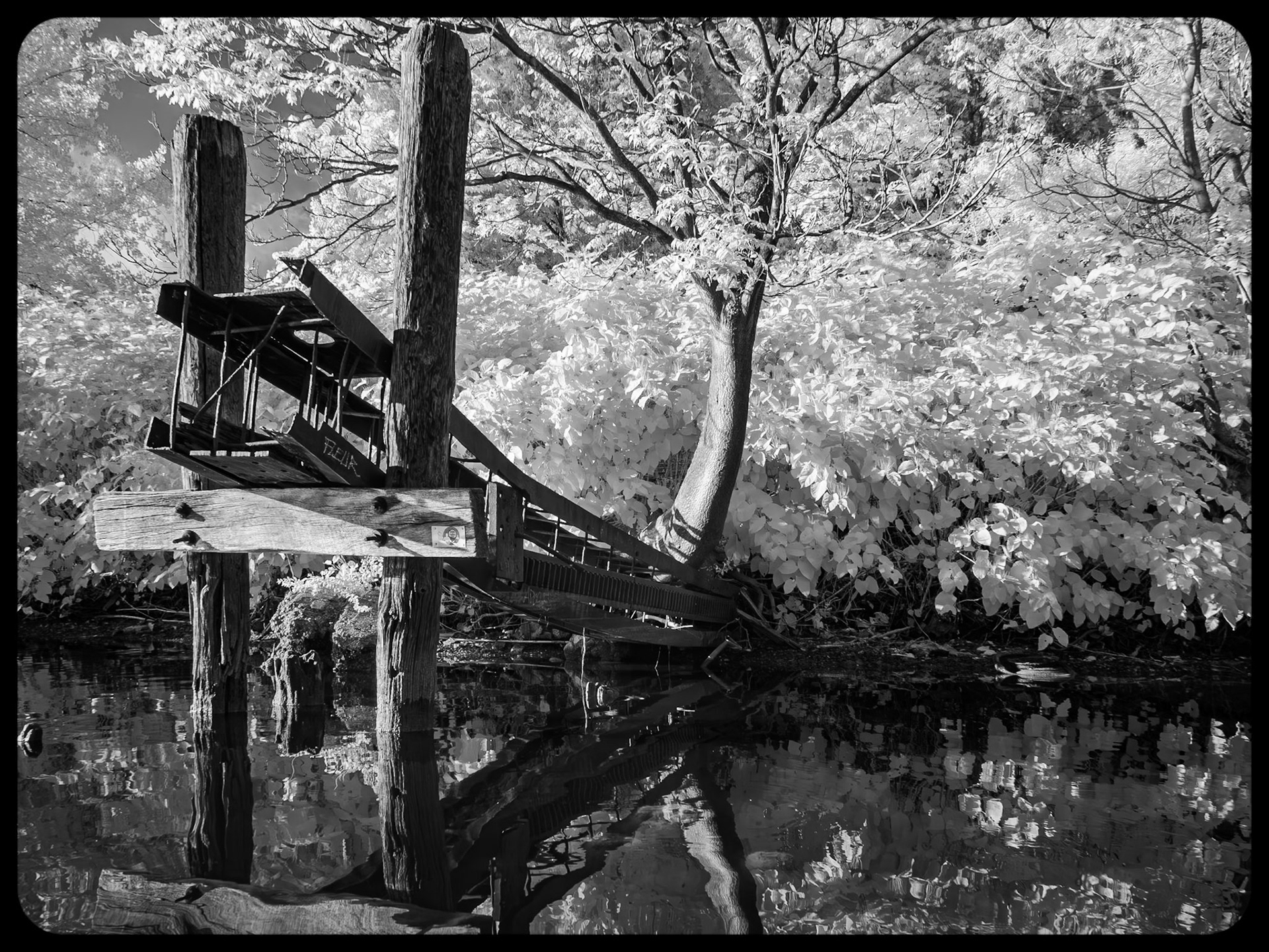 Dock, Buffalo River, Buffalo NY