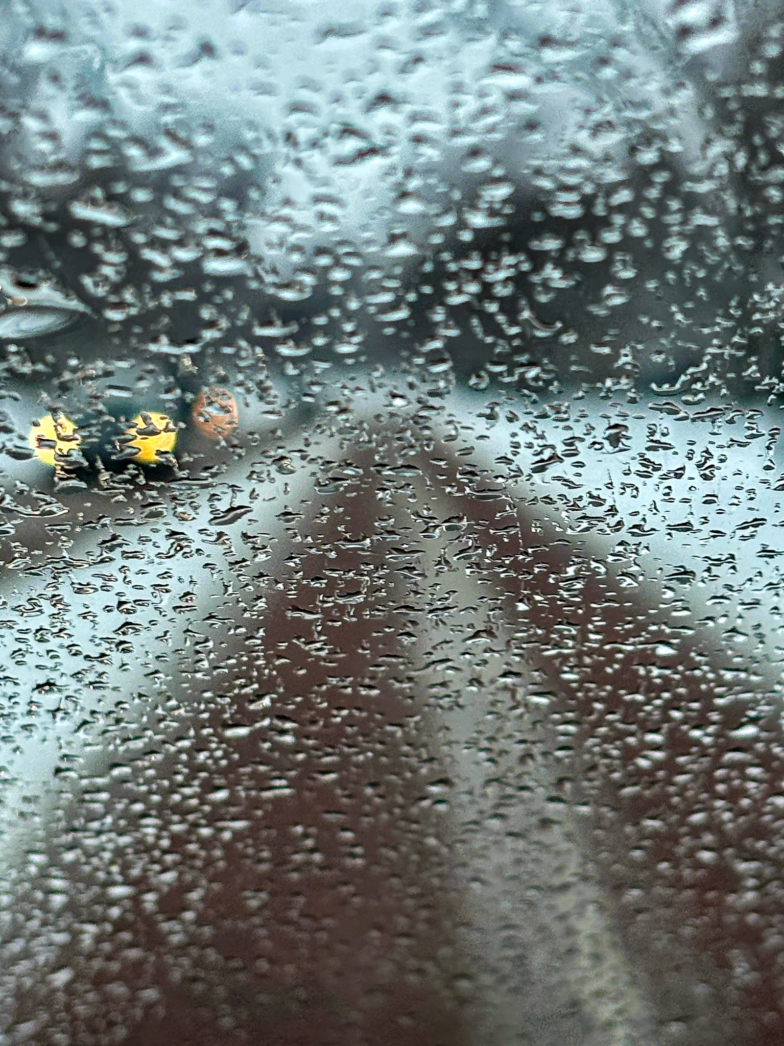 Niagara Falls Blvd., Buffalo NY