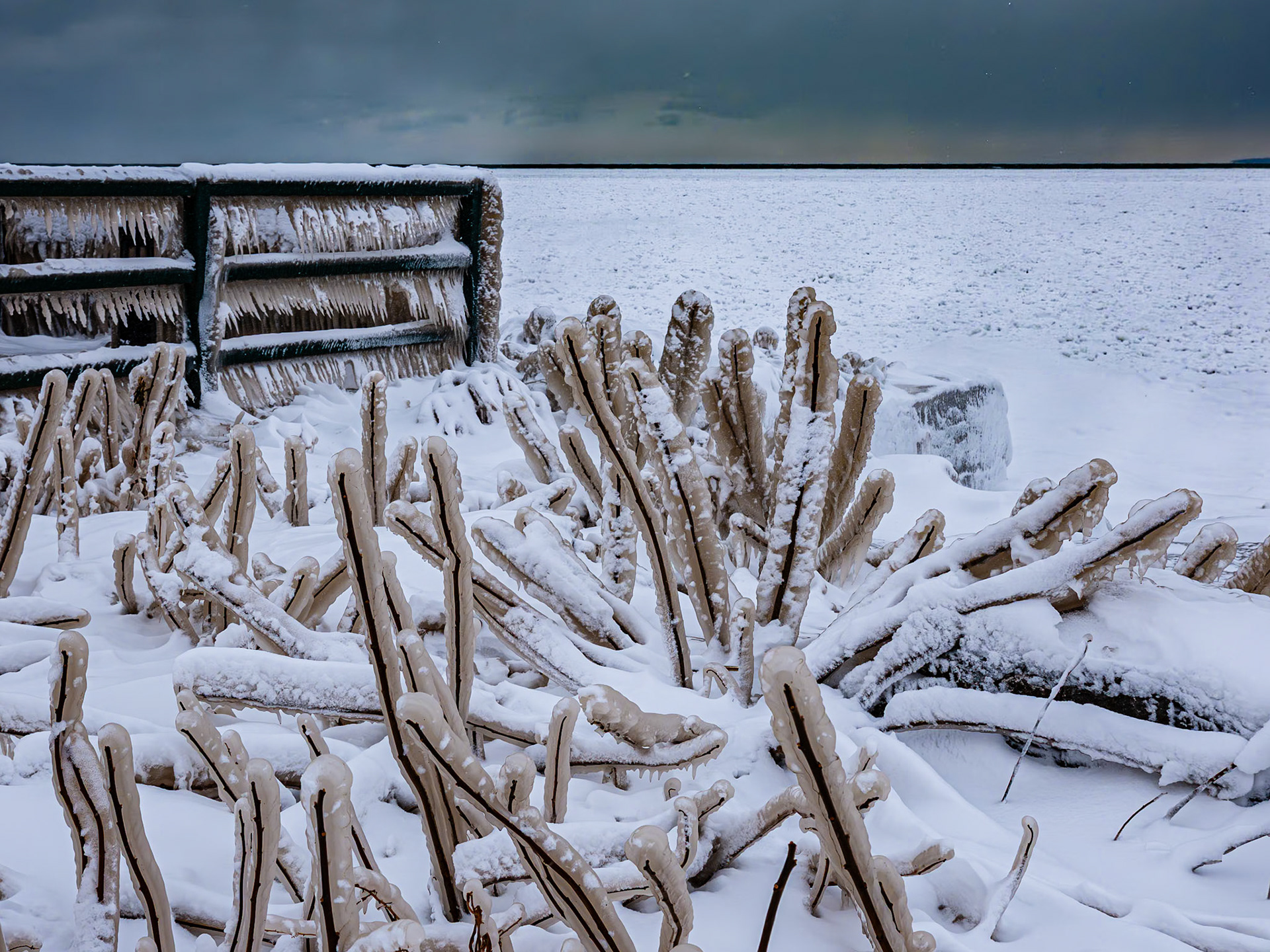 Ice Storm Aftermath, Hamburg NY