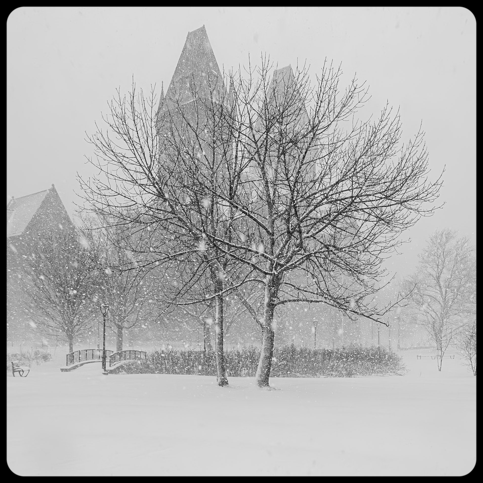 Richardson Towers, Buffalo NY