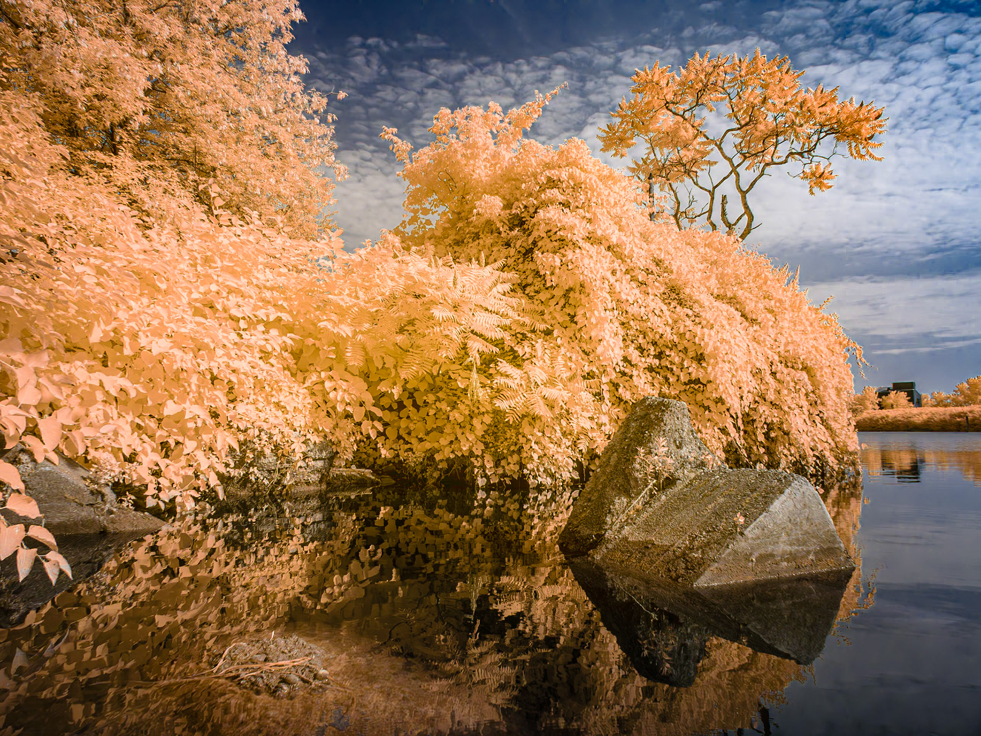 Buffalo River Inlet, Buffalo, NY (2024)