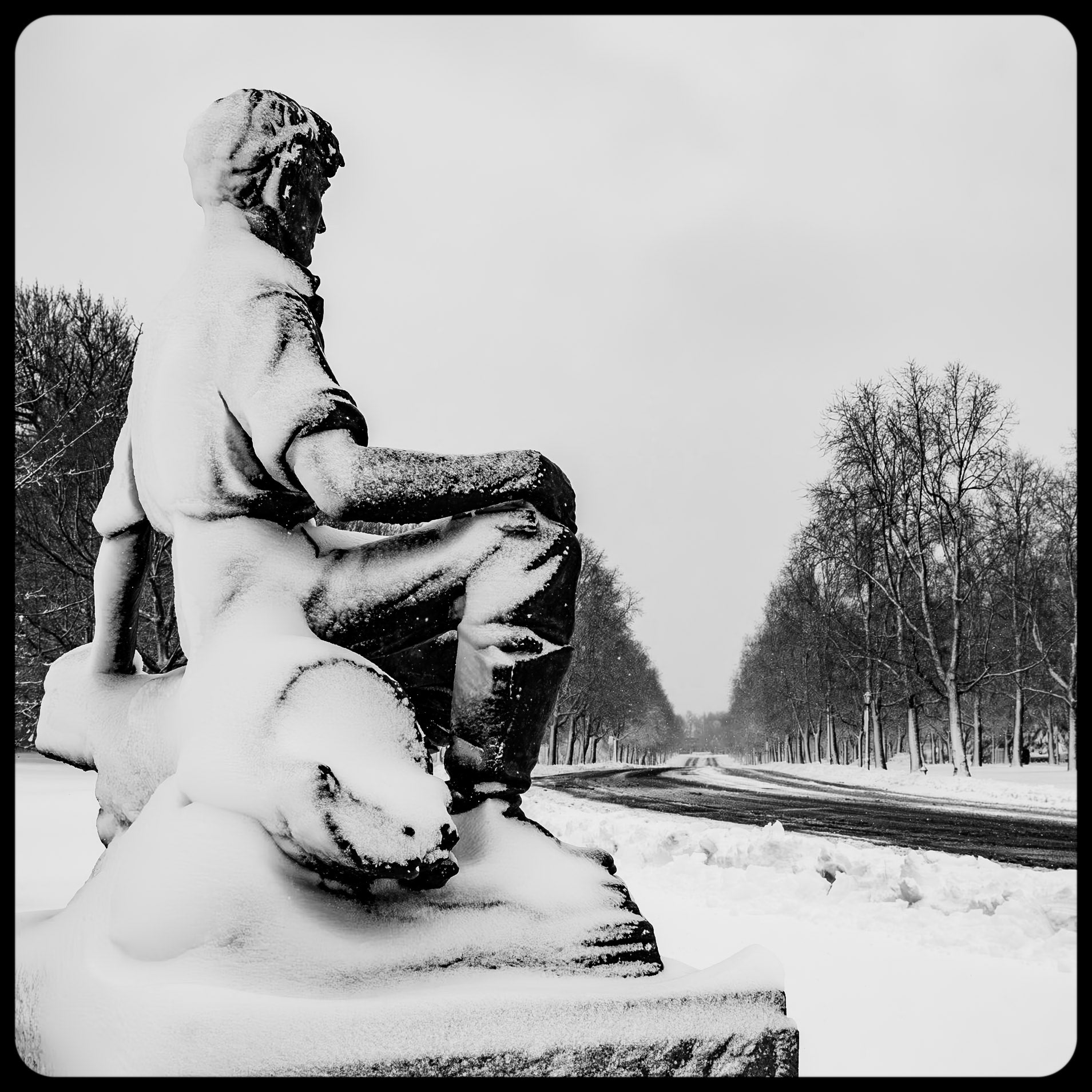 Lincoln Parkway, Buffalo NY