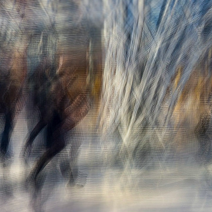 Buffalo AKG, Buffalo NY