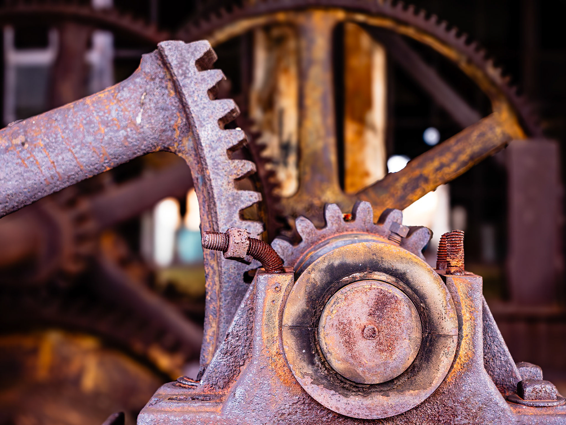 Marine Leg Gears, Buffalo, NY (2020)