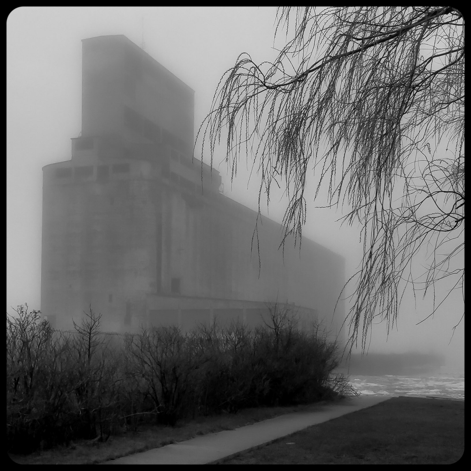Grain Elevator in the Mist, Buffalo, NY (2019)