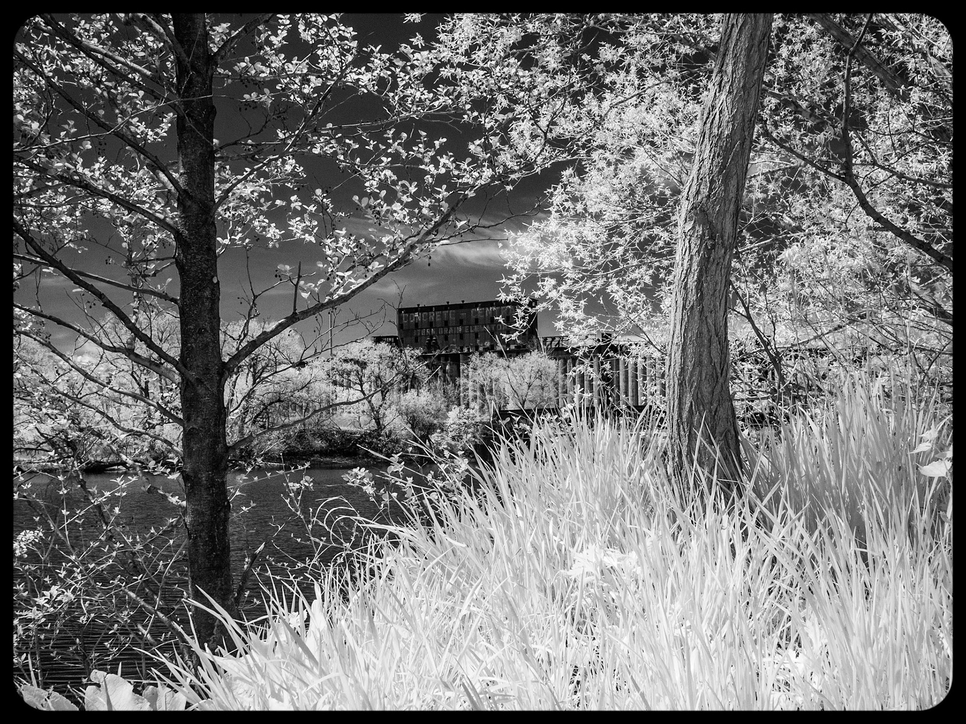 View of Concrete Central