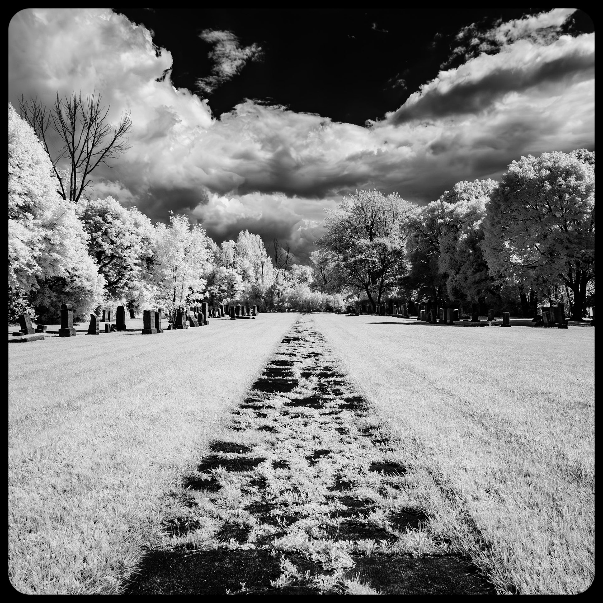 Beth Jacob Cemetery, Buffalo NY