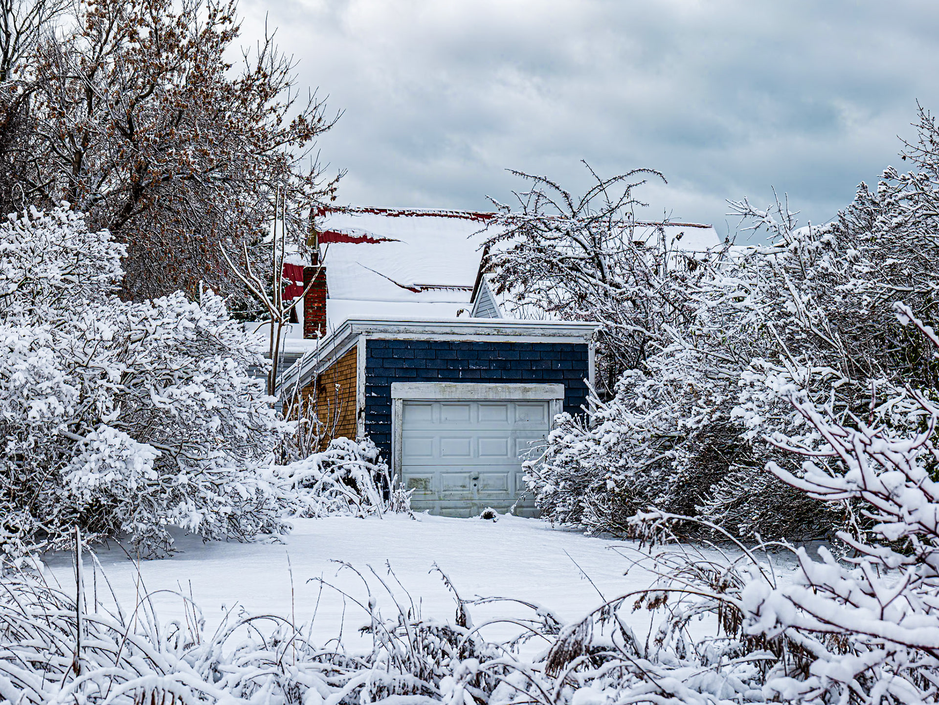 Old First Ward, Buffalo NY