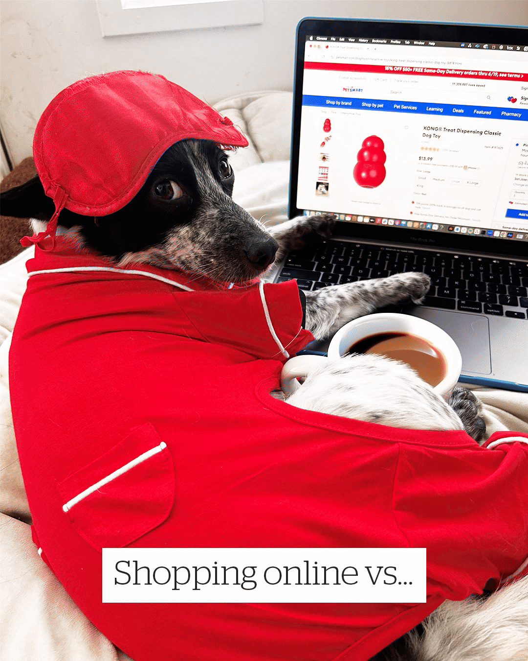 Shopping online vs. shopping in store but putting a fun twist in showcasing my dogs!