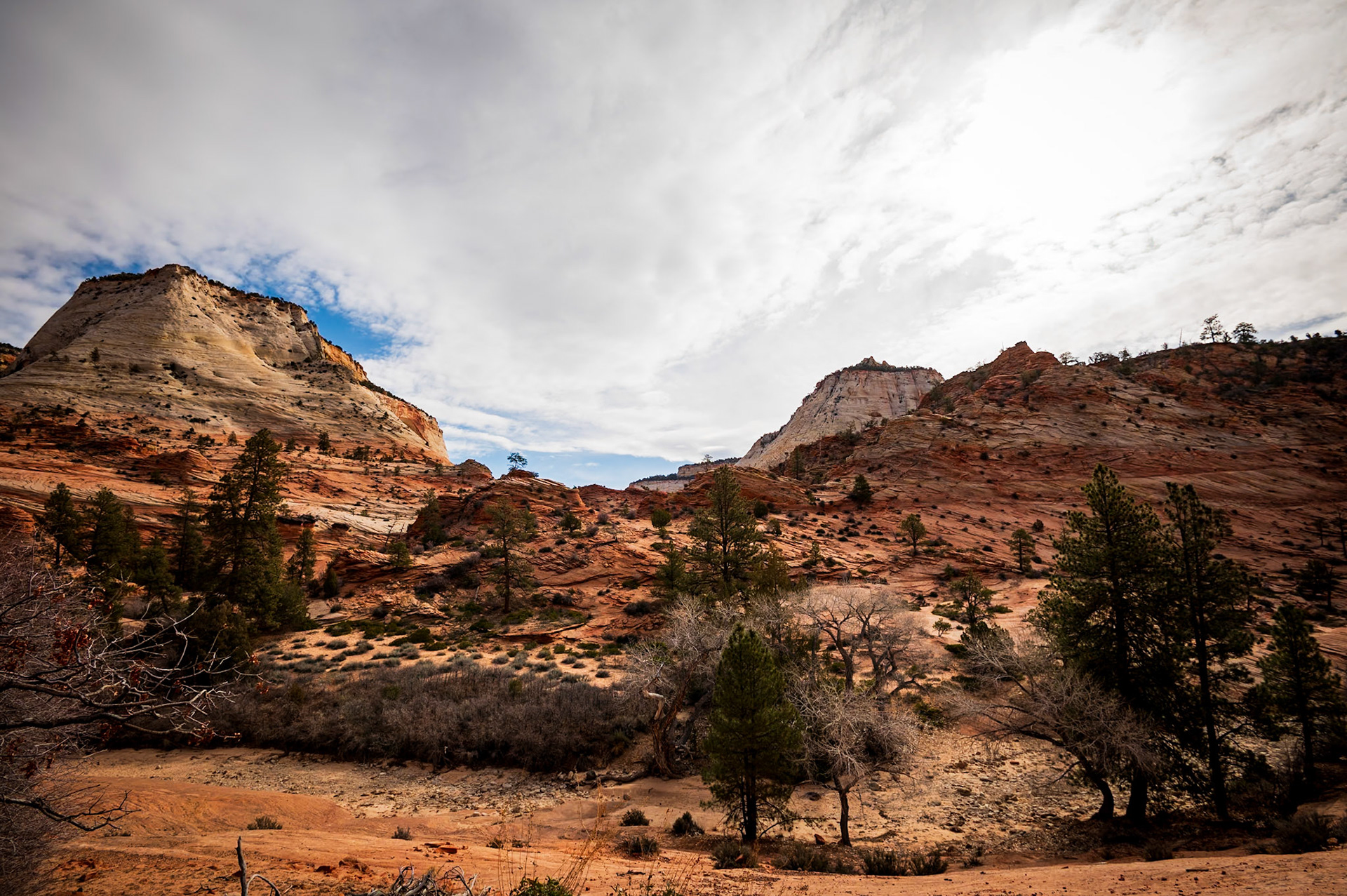 Zion