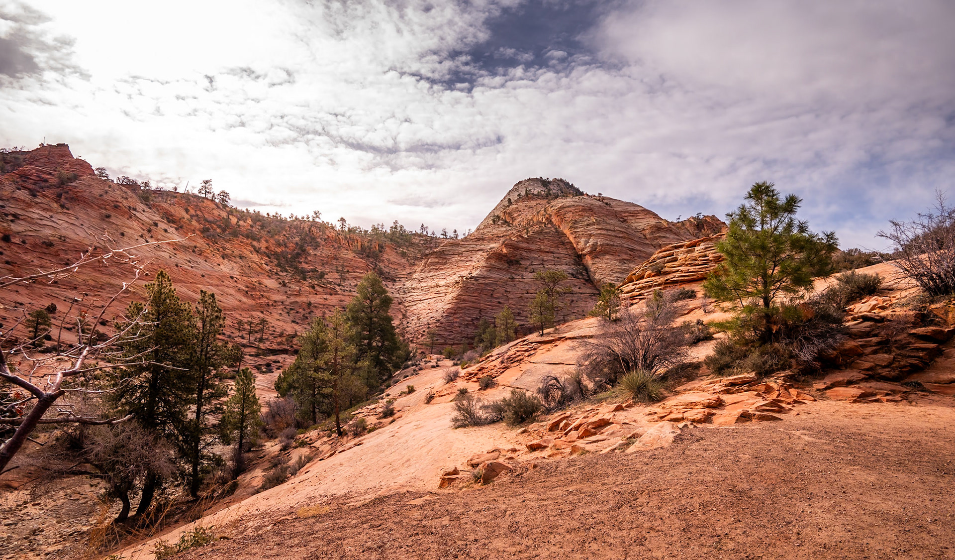 Zion